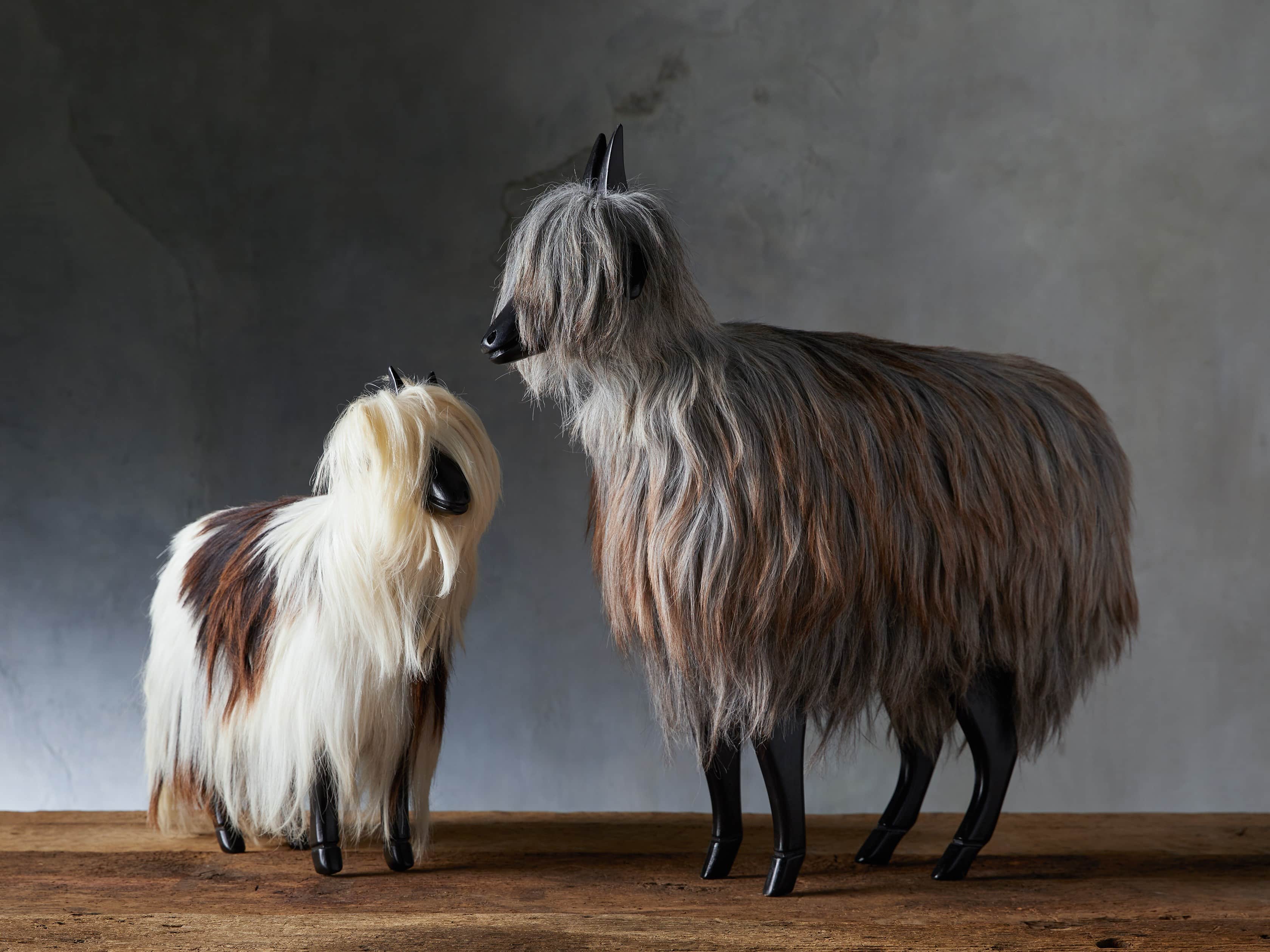 Grey Goat