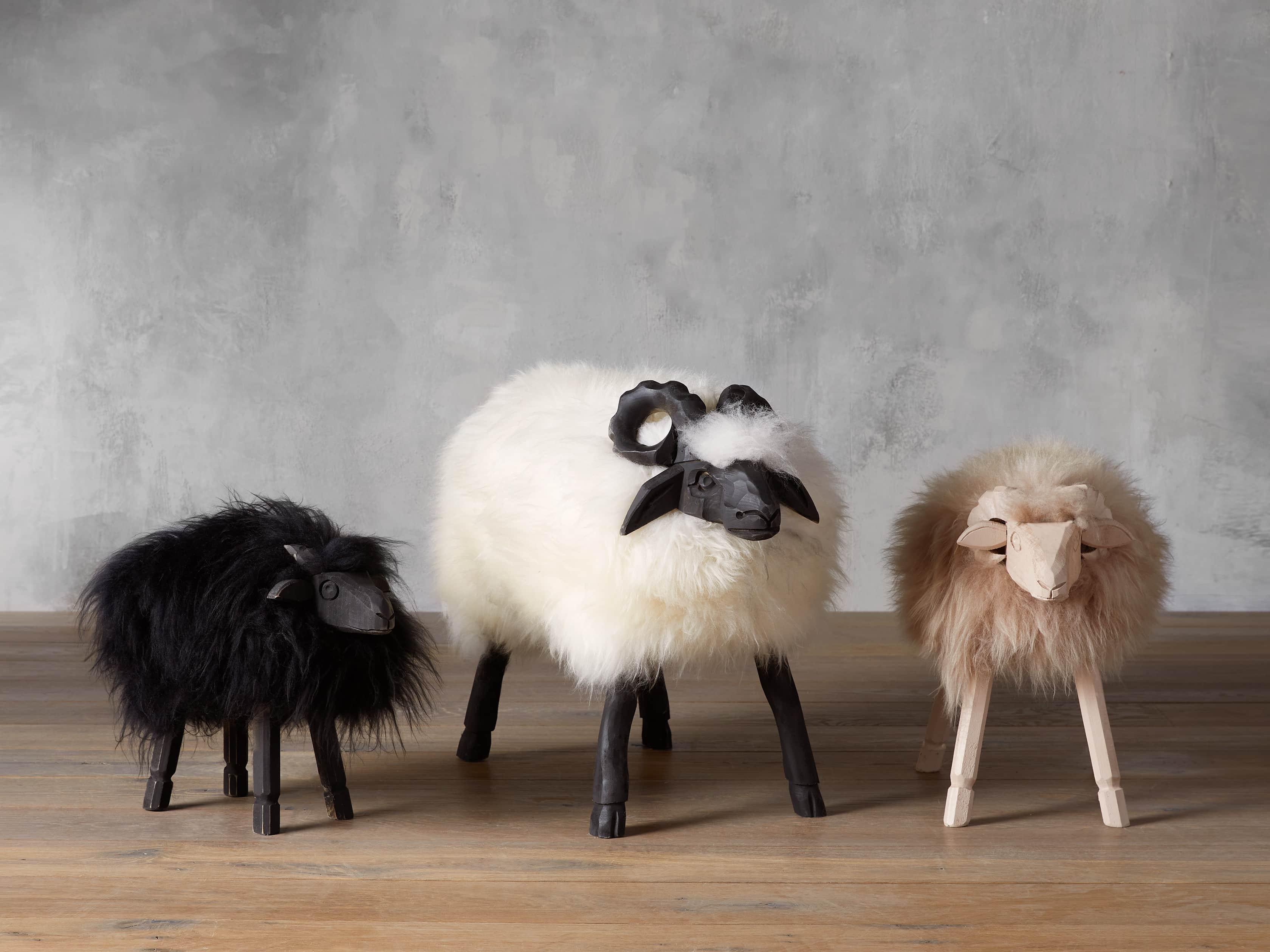 Small Wooly Sheep, slide 4 of 4
