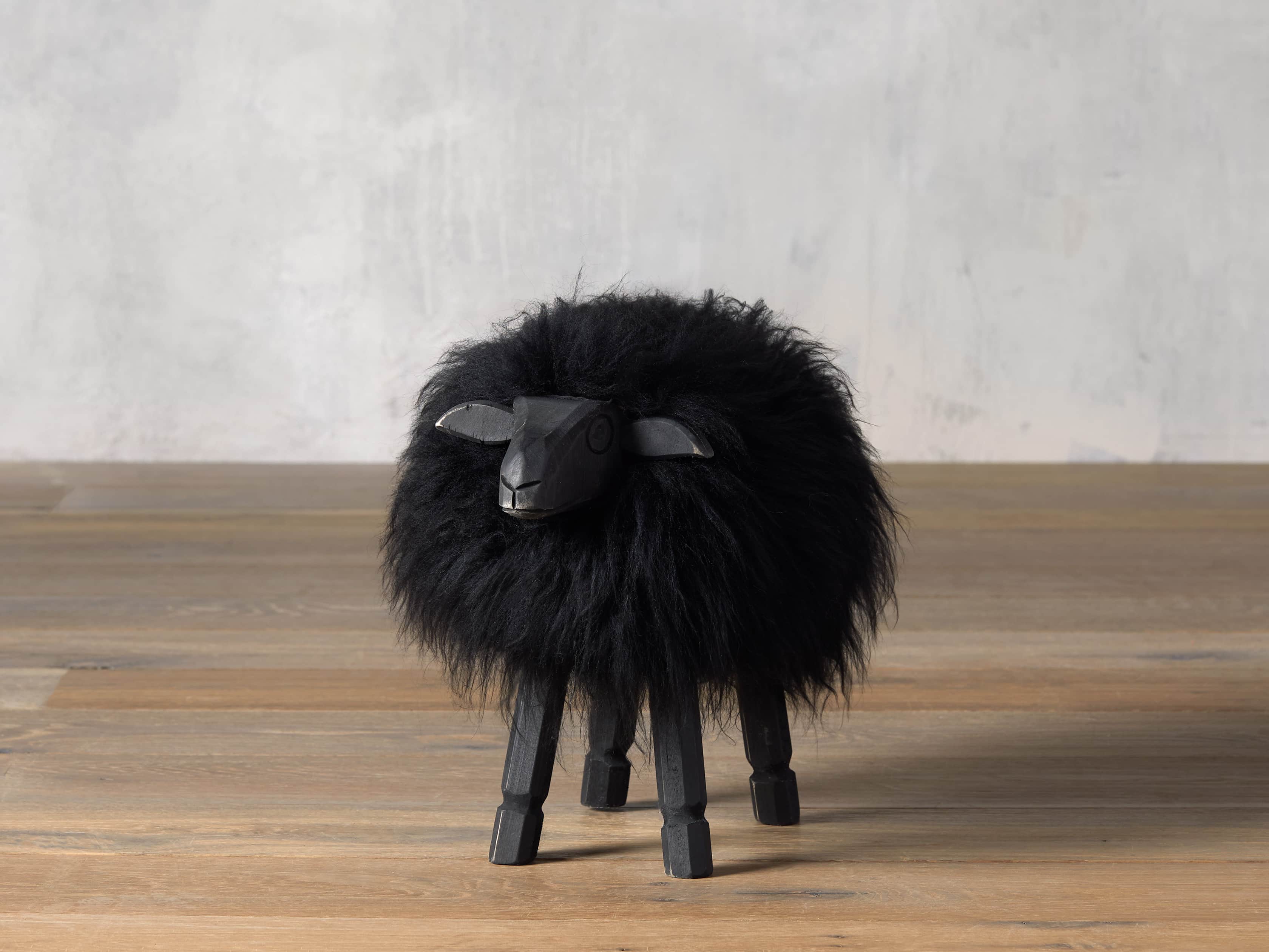 Small Wooly Sheep, slide 1 of 4