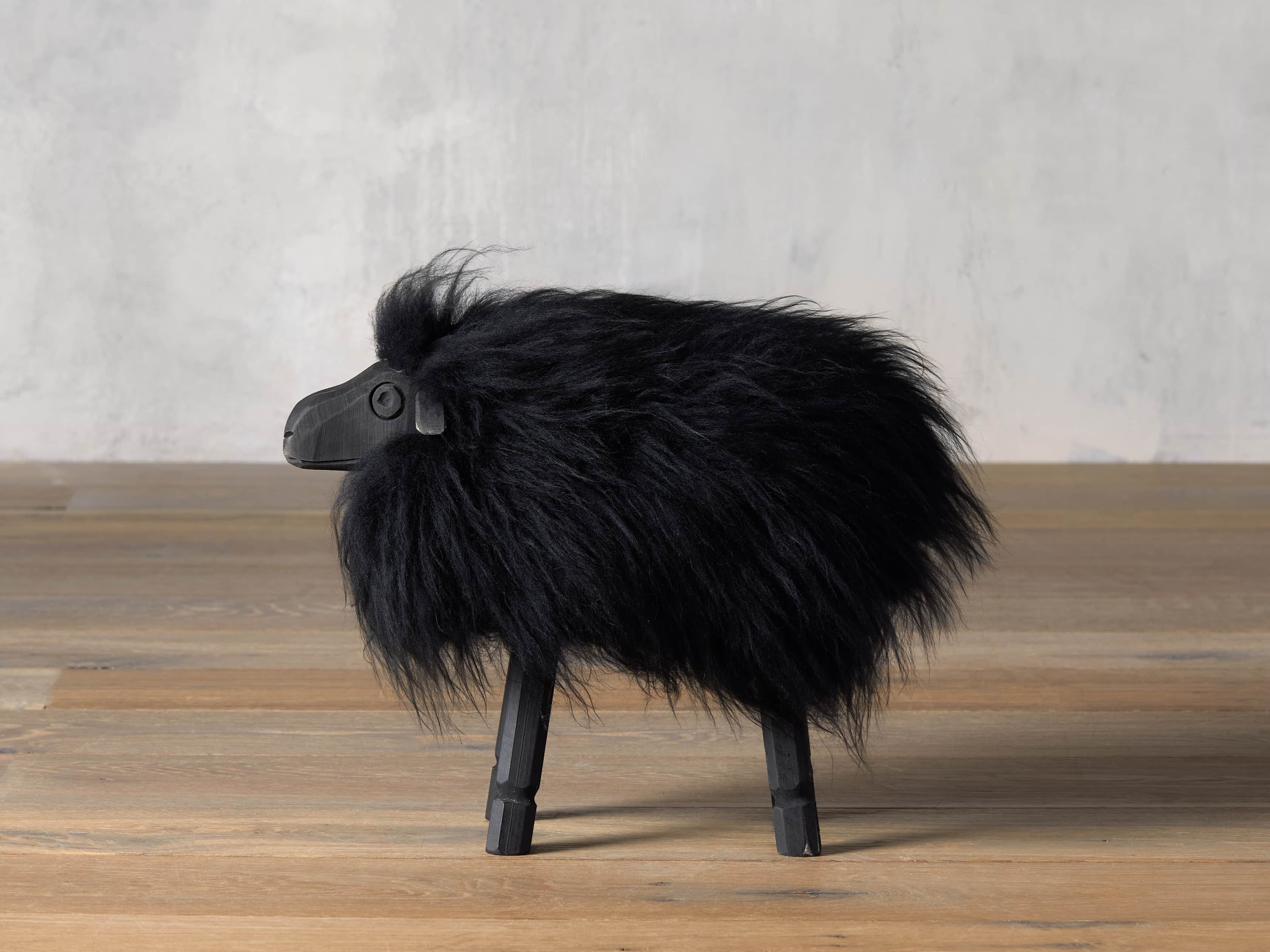 Small Wooly Sheep, slide 2 of 4
