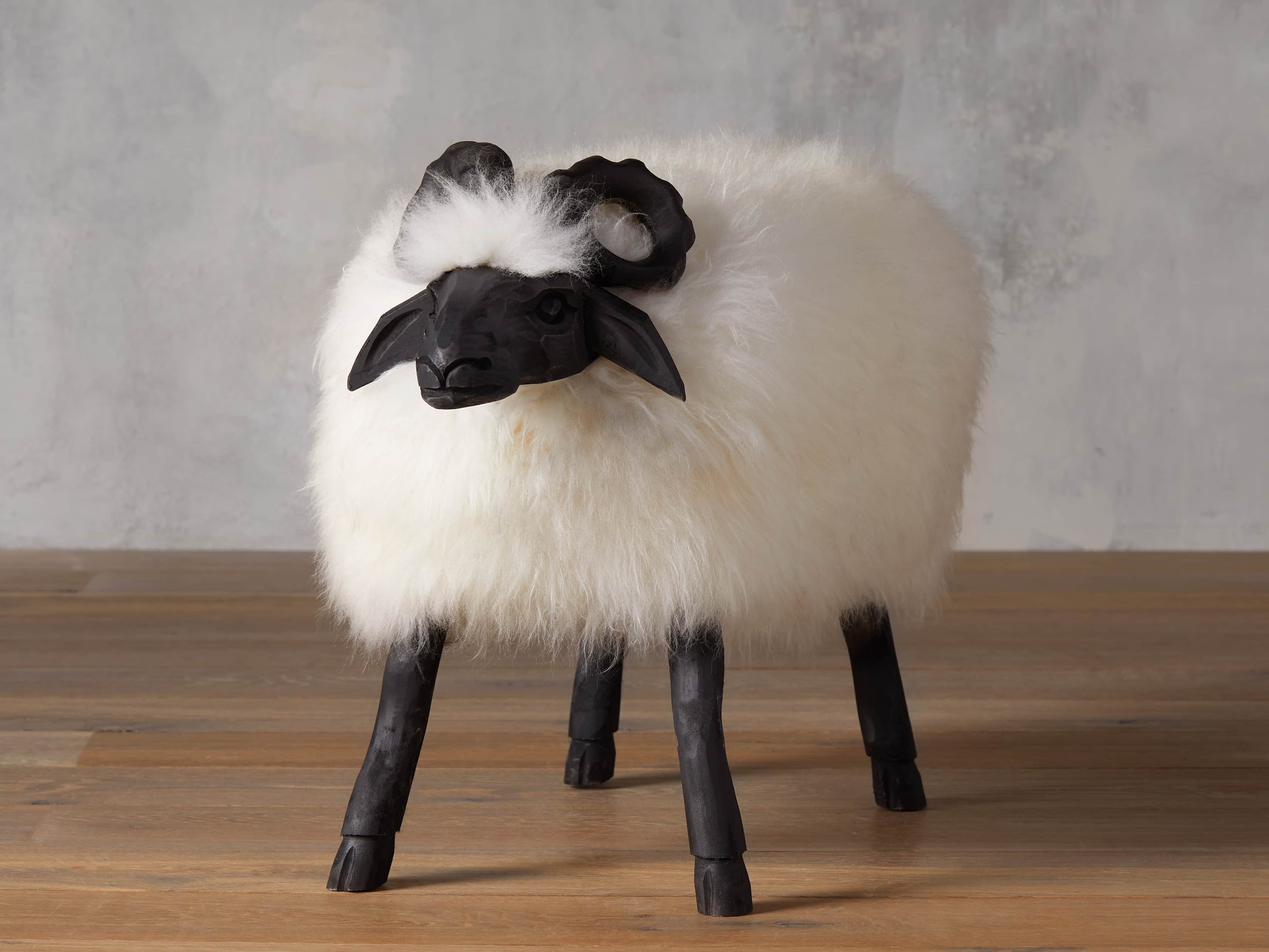 Large Wooly Sheep, slide 1 of 5