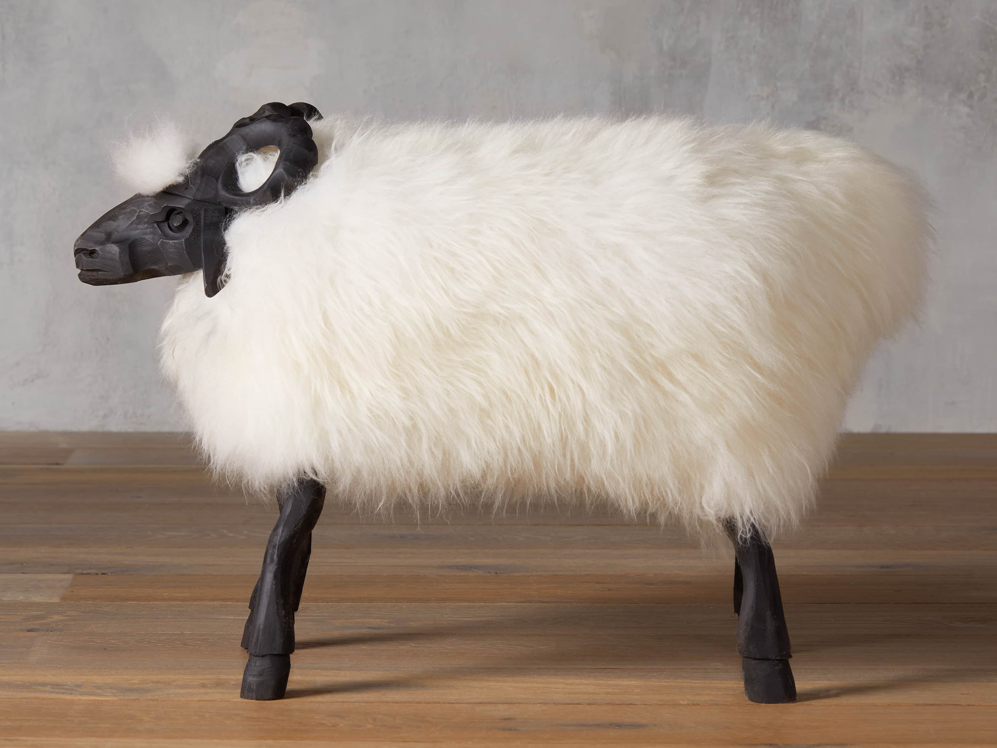 Large Wooly Sheep, slide 2 of 5
