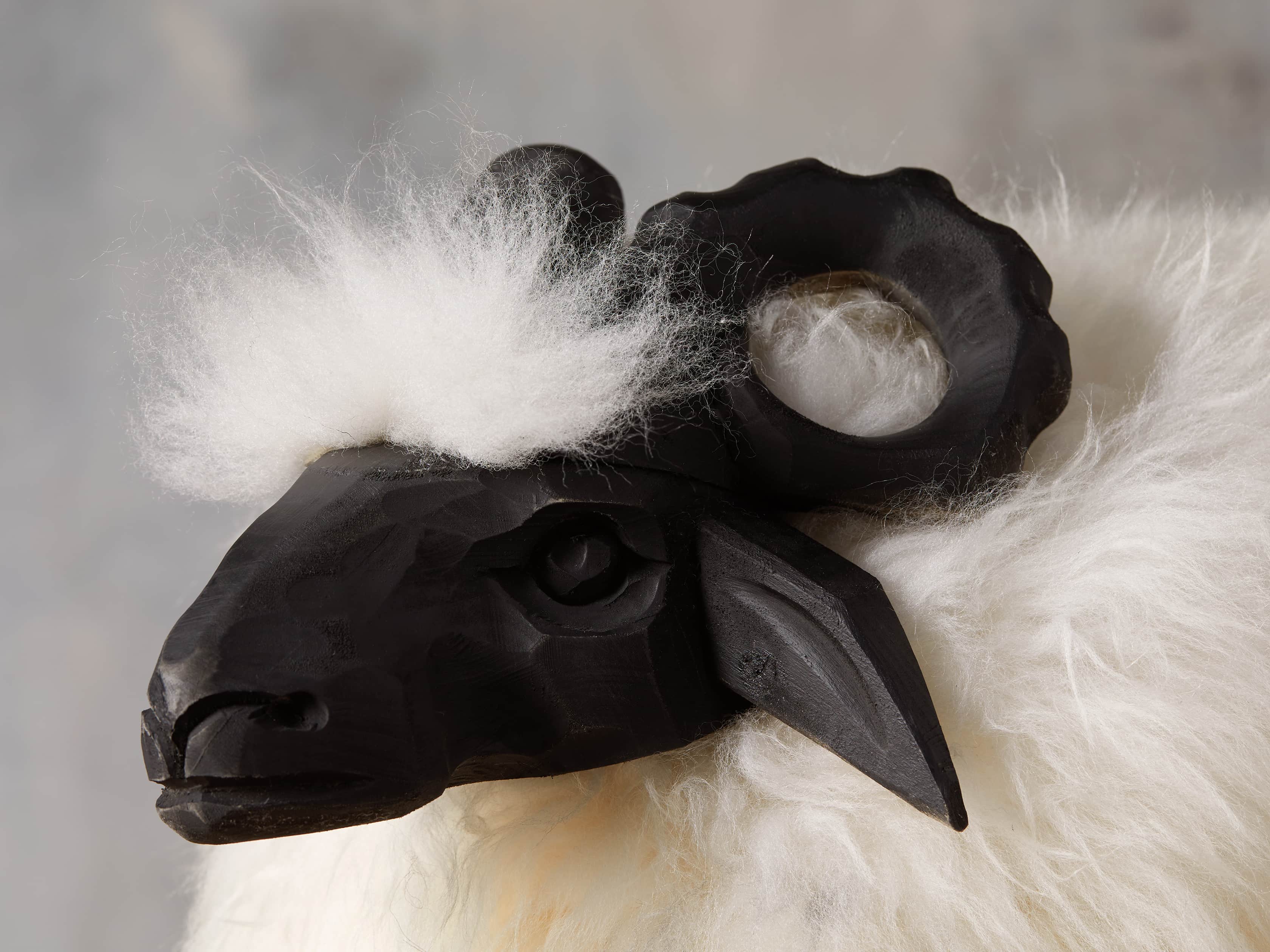 Large Wooly Sheep, slide 3 of 5