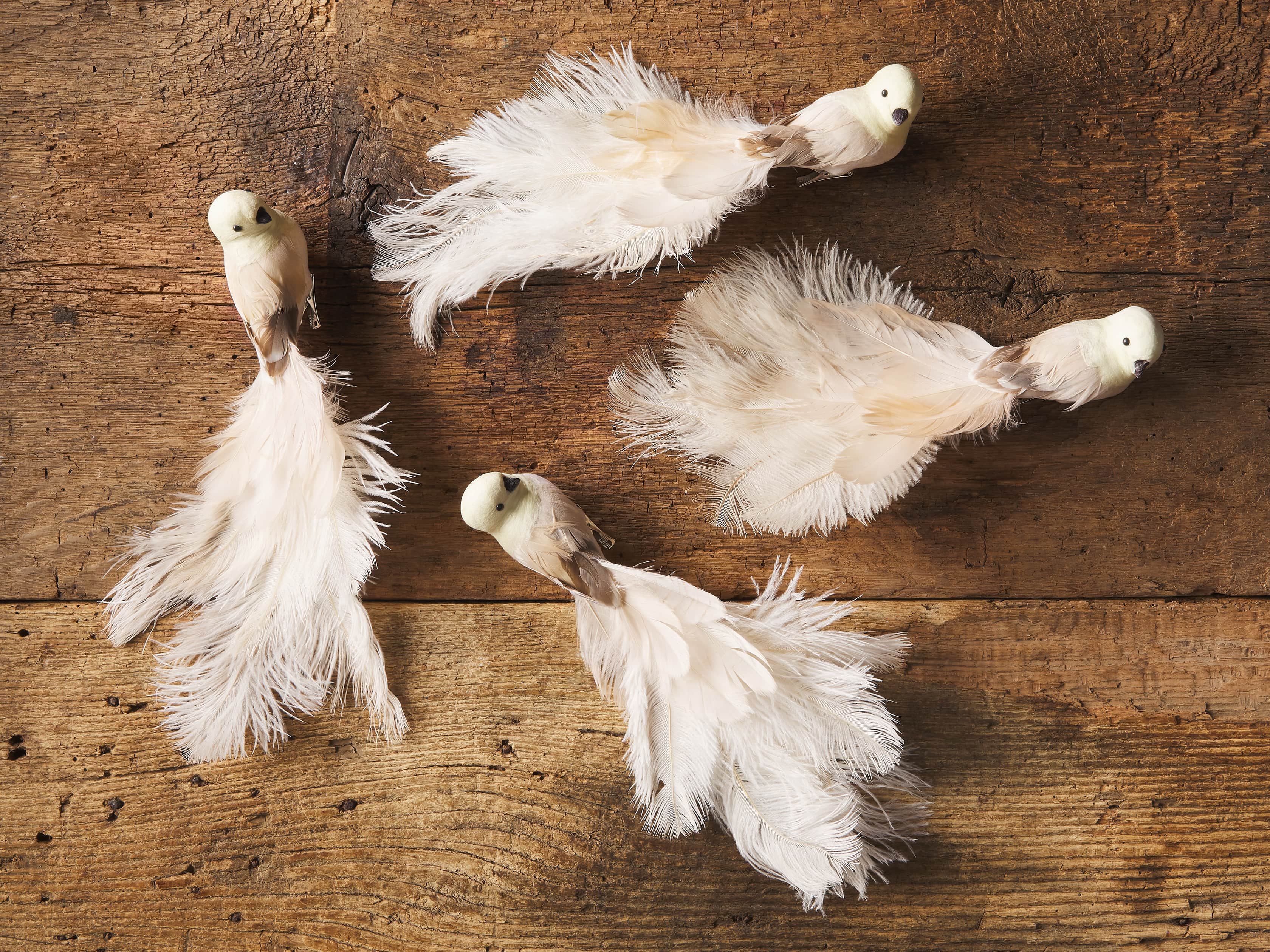 Ivory Feathered Bird (Set of 4), slide 2 of 2