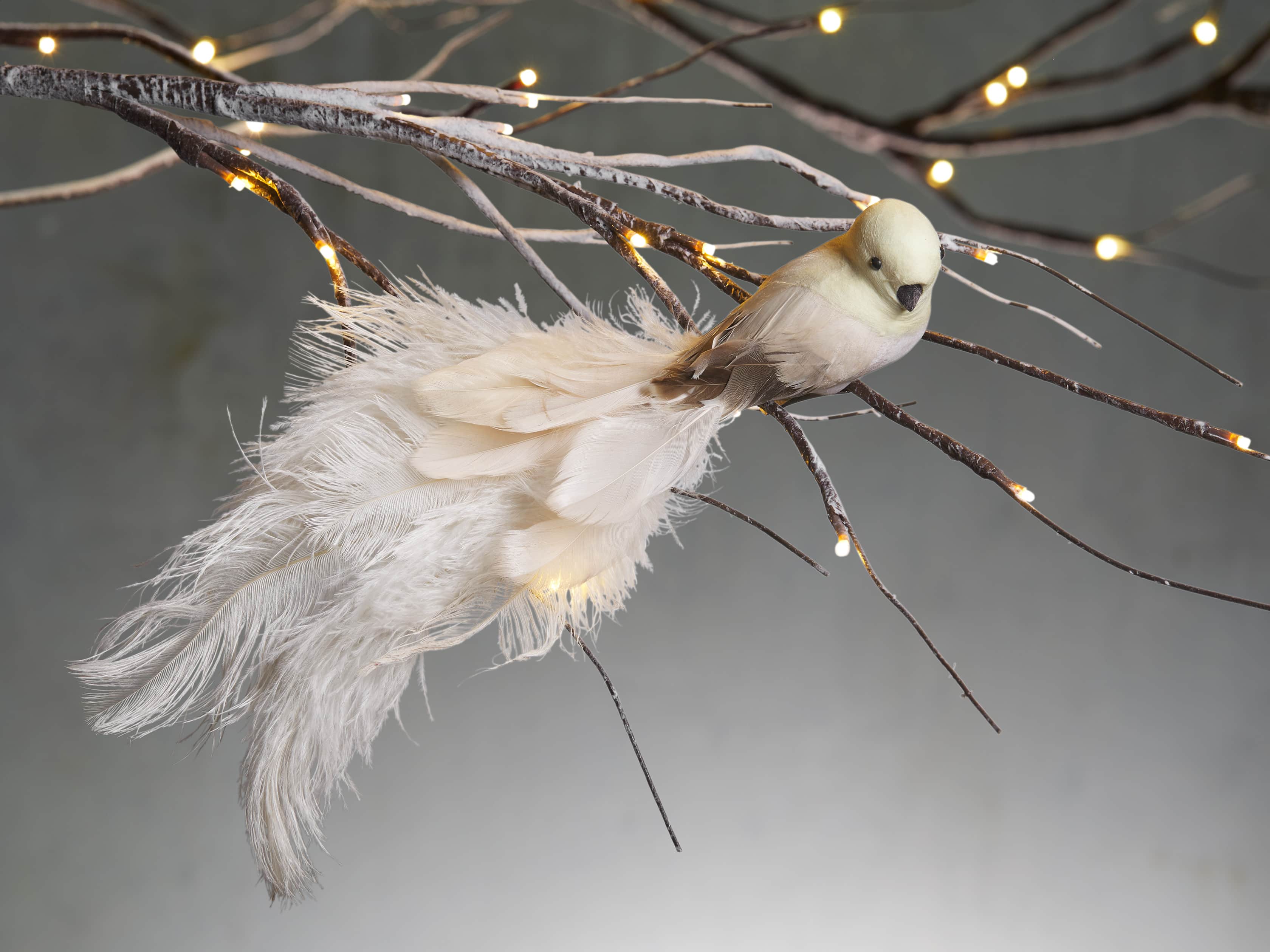 Ivory Feathered Bird (Set of 4), slide 1 of 2
