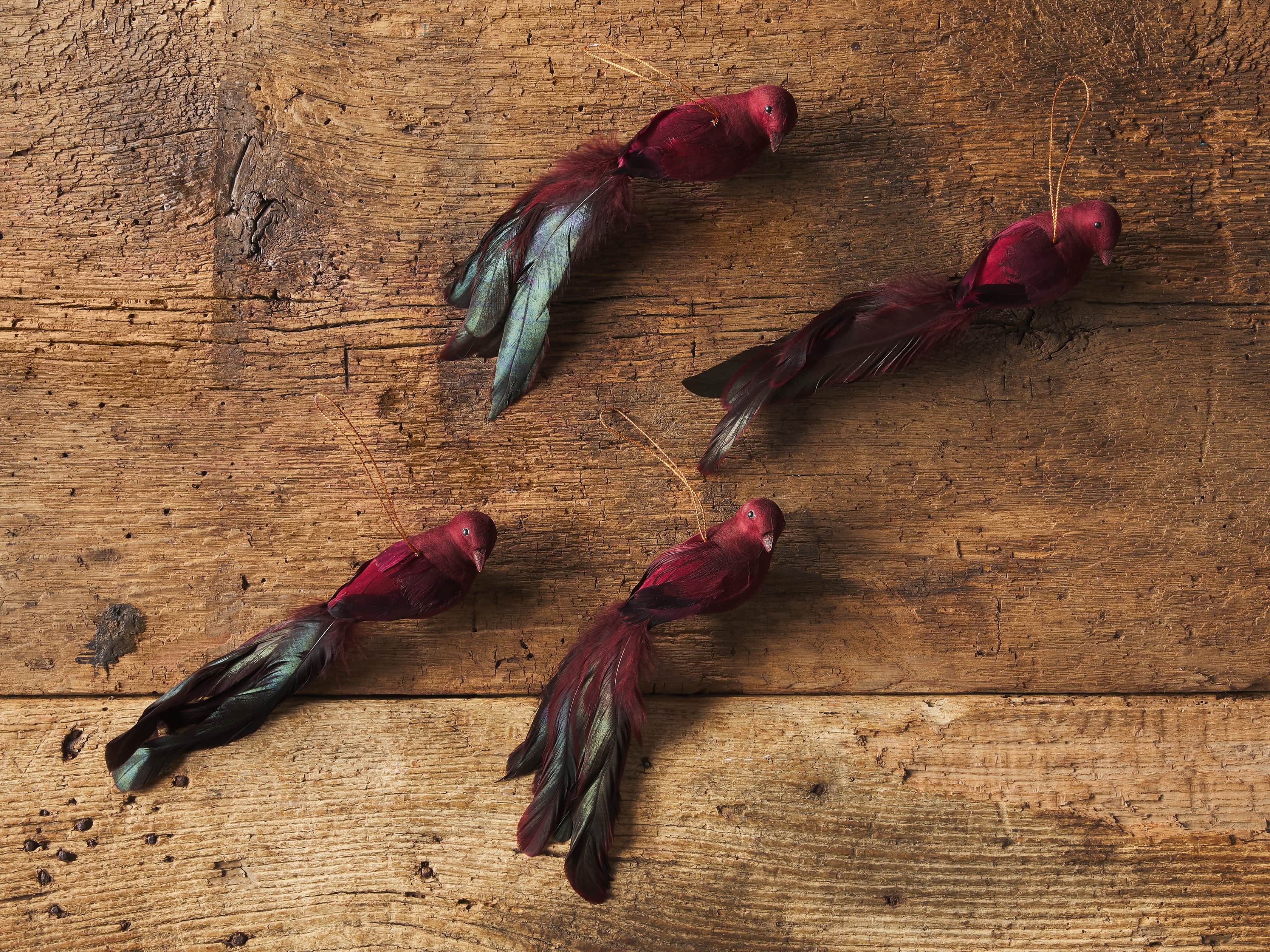 Burgundy Feathered Bird (Set of 4), slide 2 of 3
