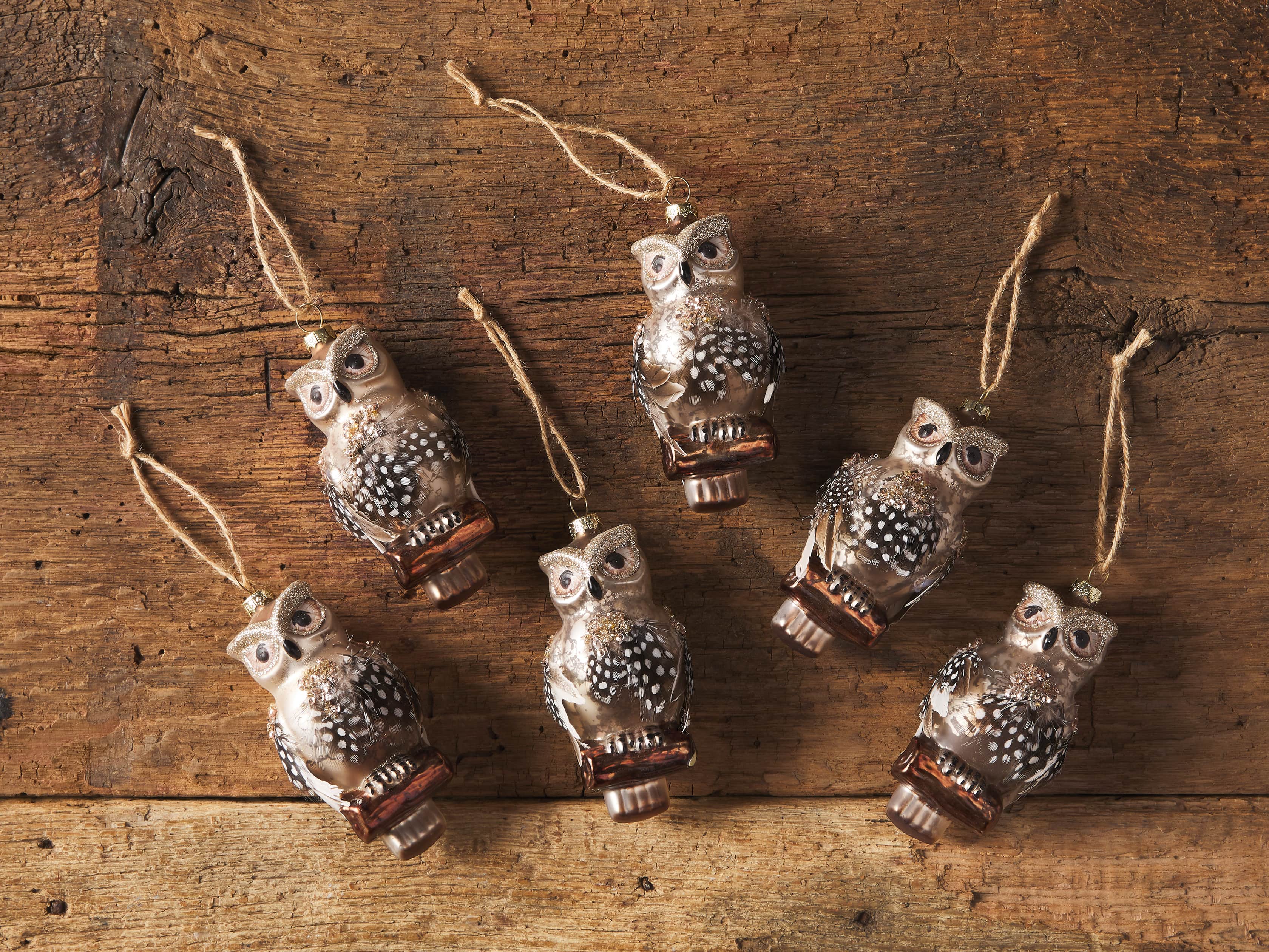 Glass Feathered Owl Ornament (Set of 6), slide 2 of 2
