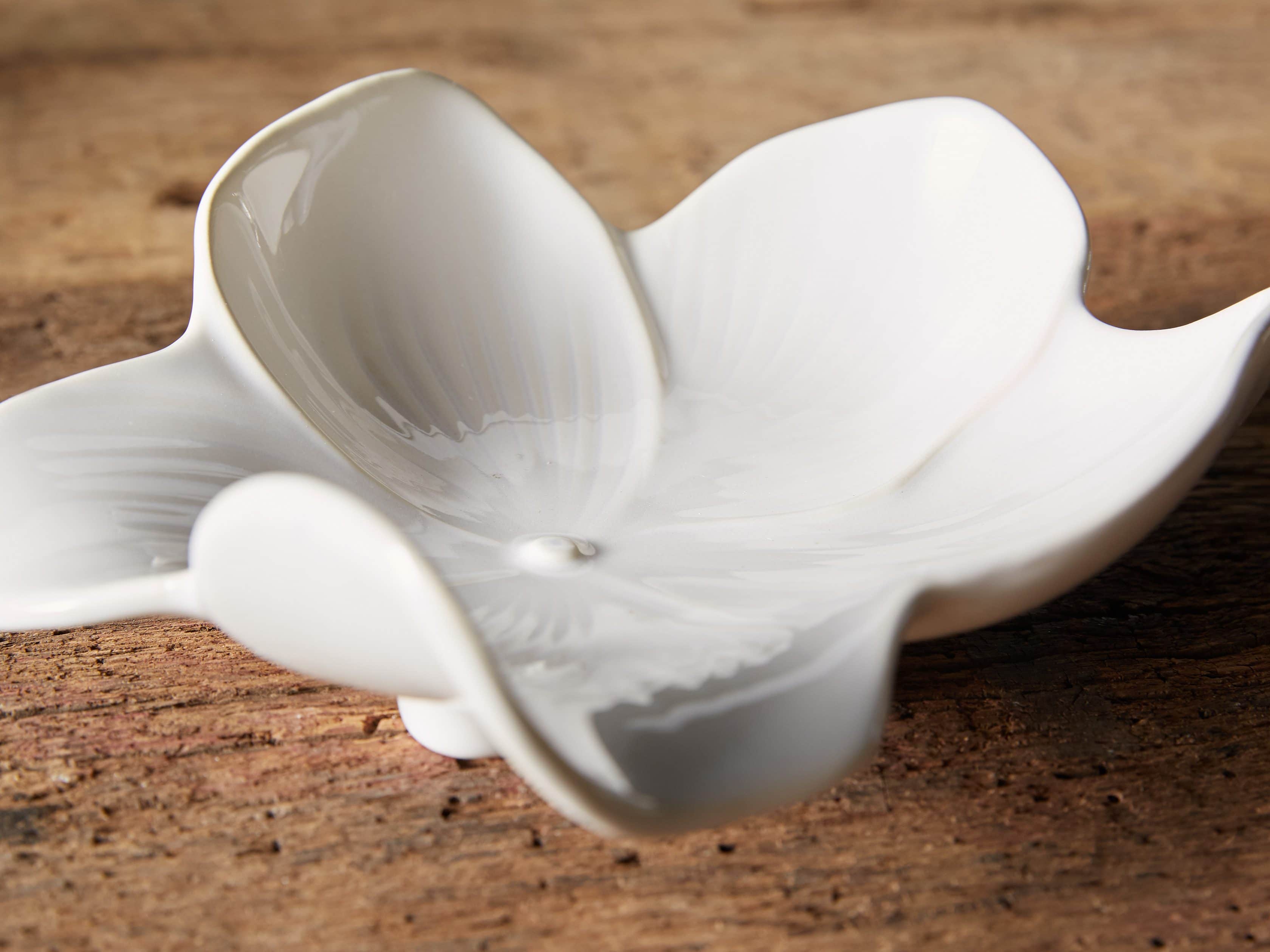 Magnolia 8" Plate in Cream