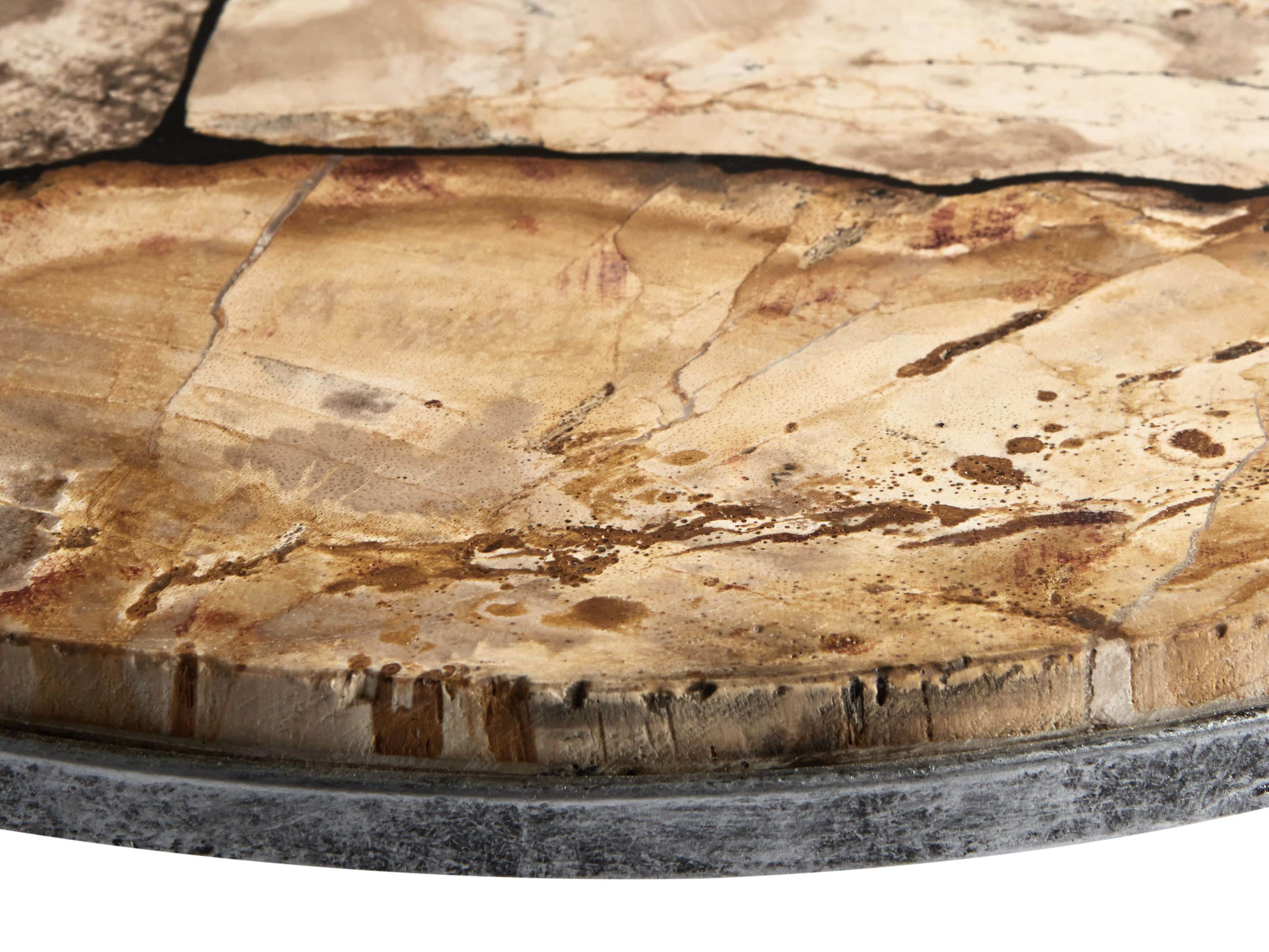 Petrified Wood Petra Tray, slide 3 of 4