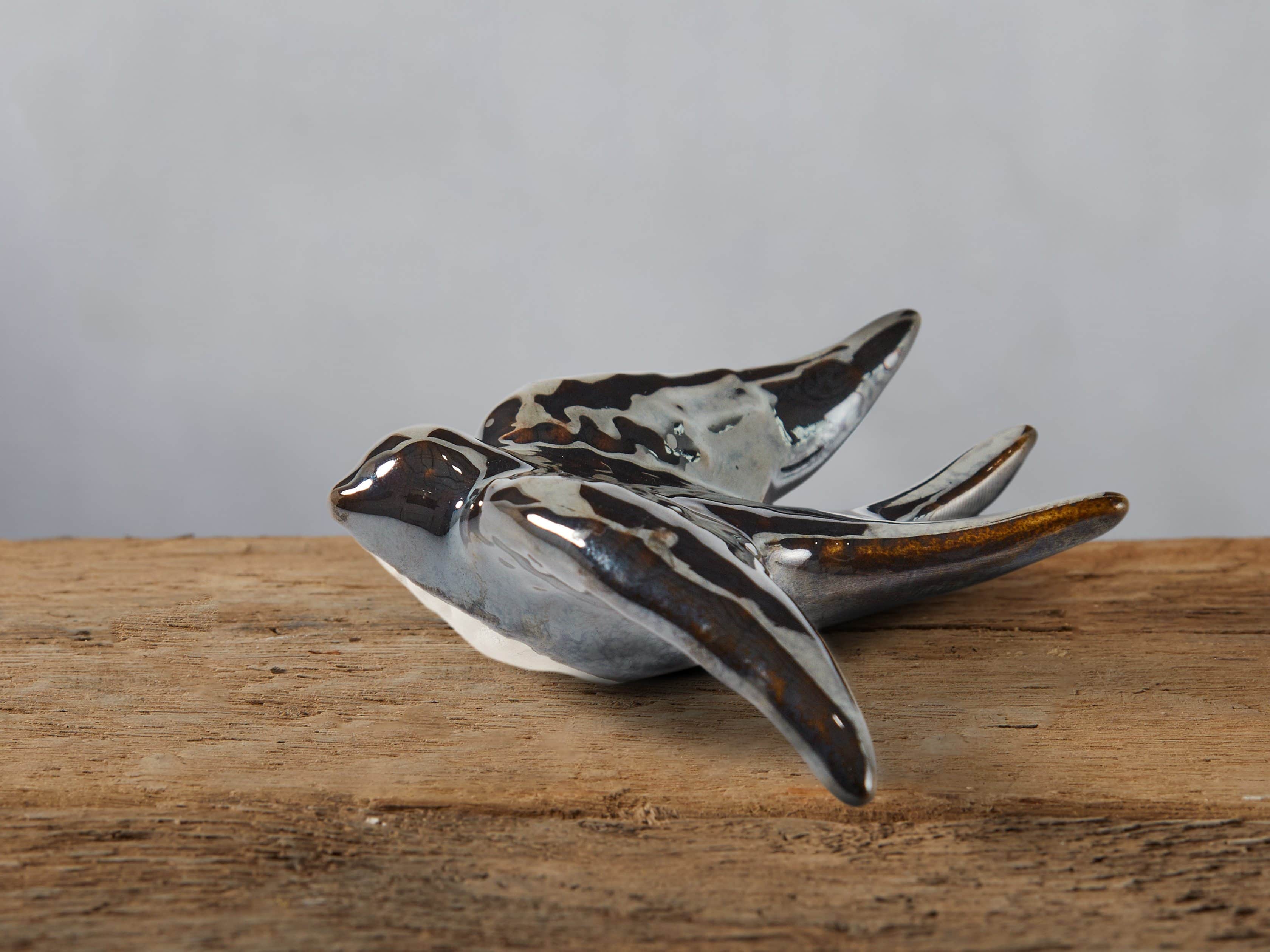 Swallow Small Anthracite