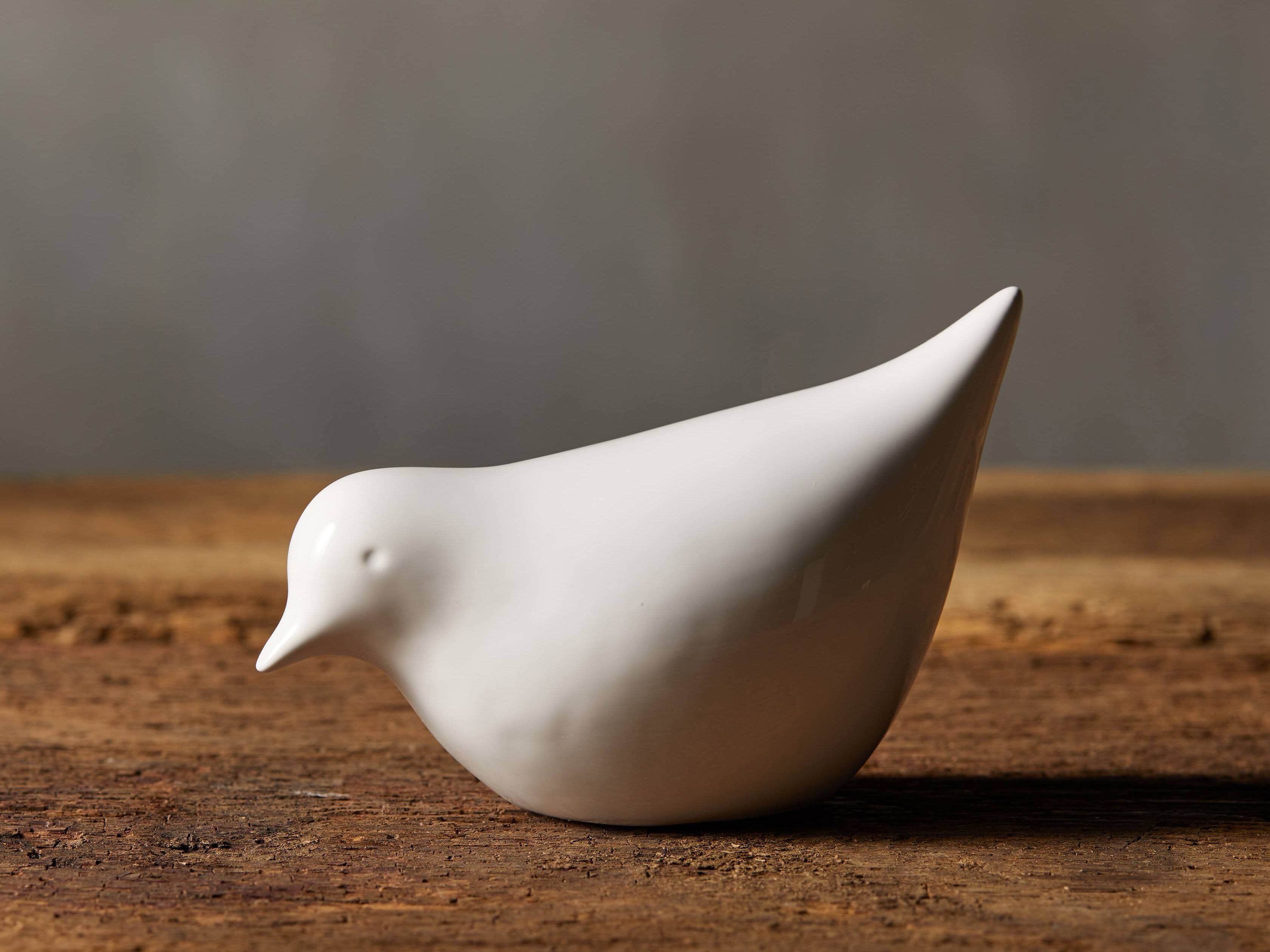 Small White Bird, slide 1 of 3