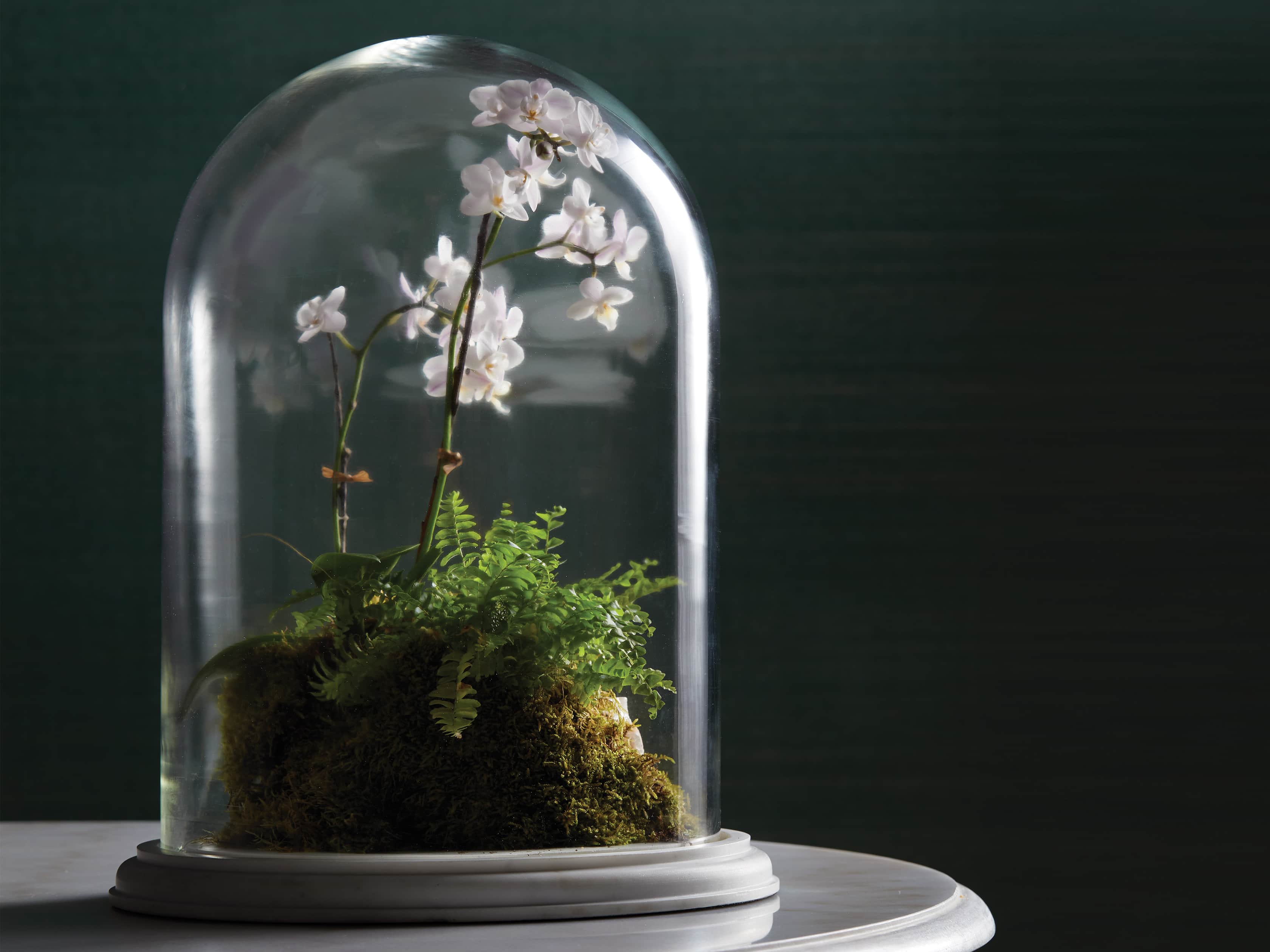 Altamura Small Glass Dome With Marble Base, slide 3 of 4