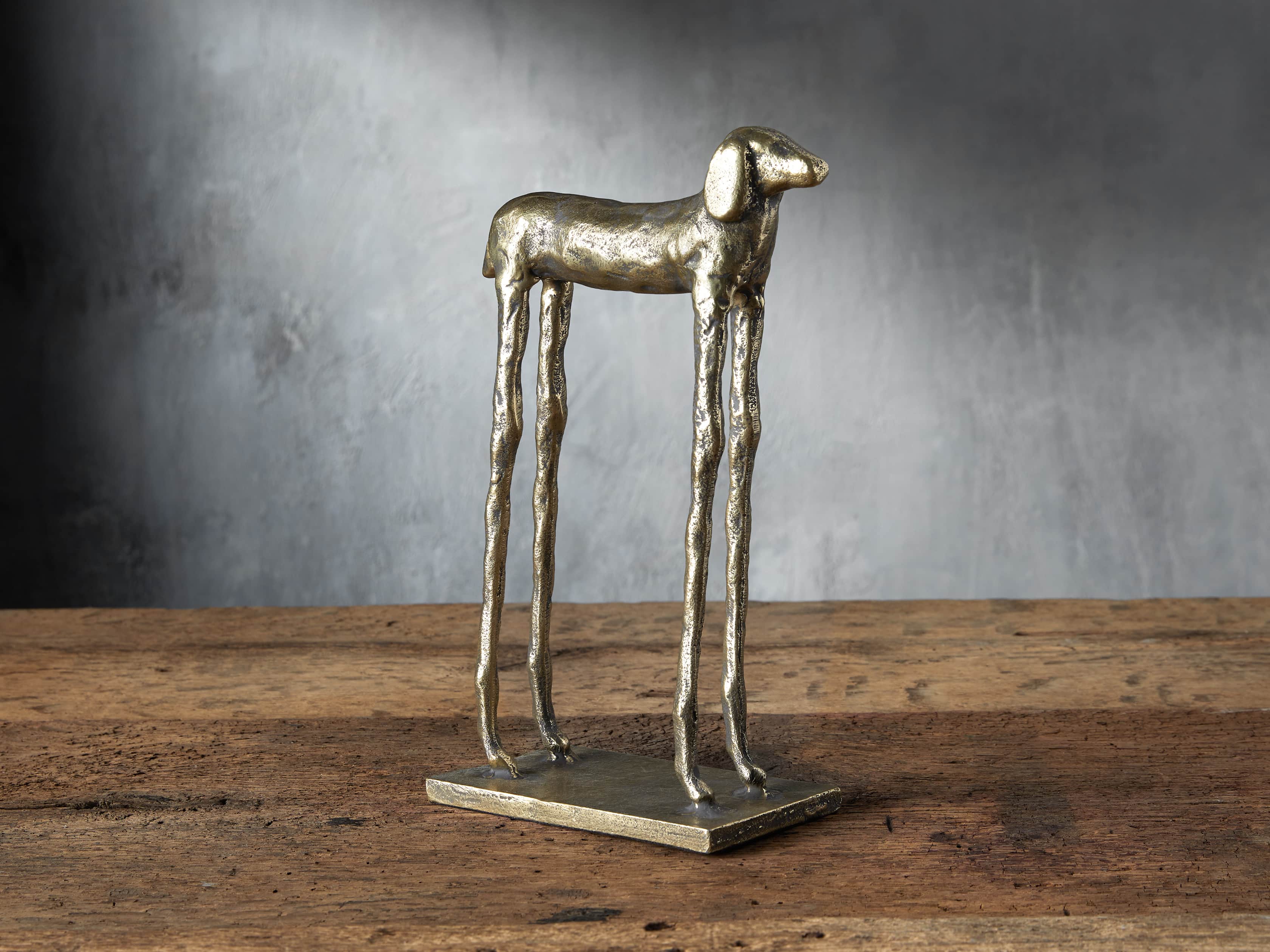 Long Leg Dog, slide 1 of 3