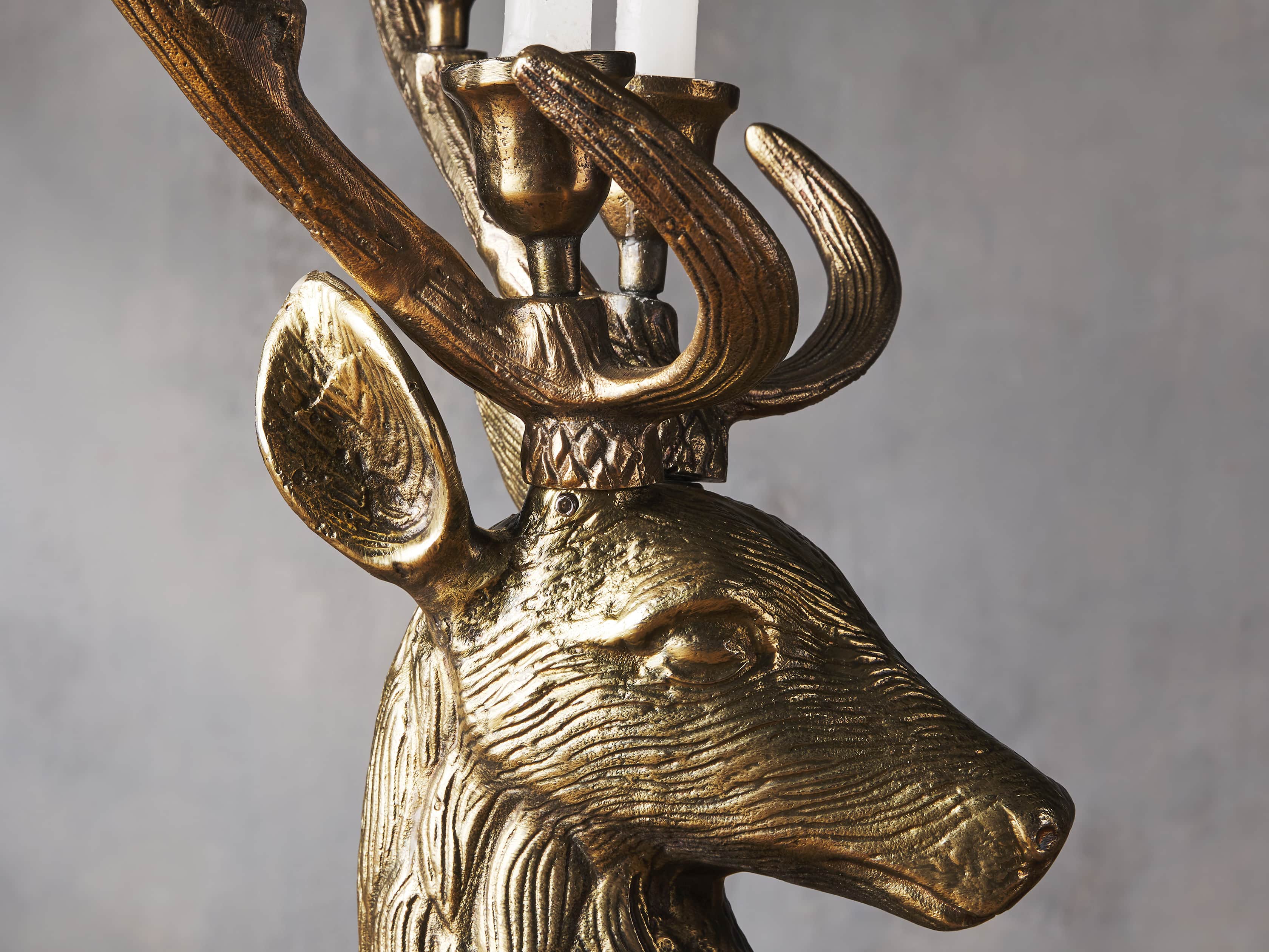 Stag Head Taper Holder, slide 2 of 2