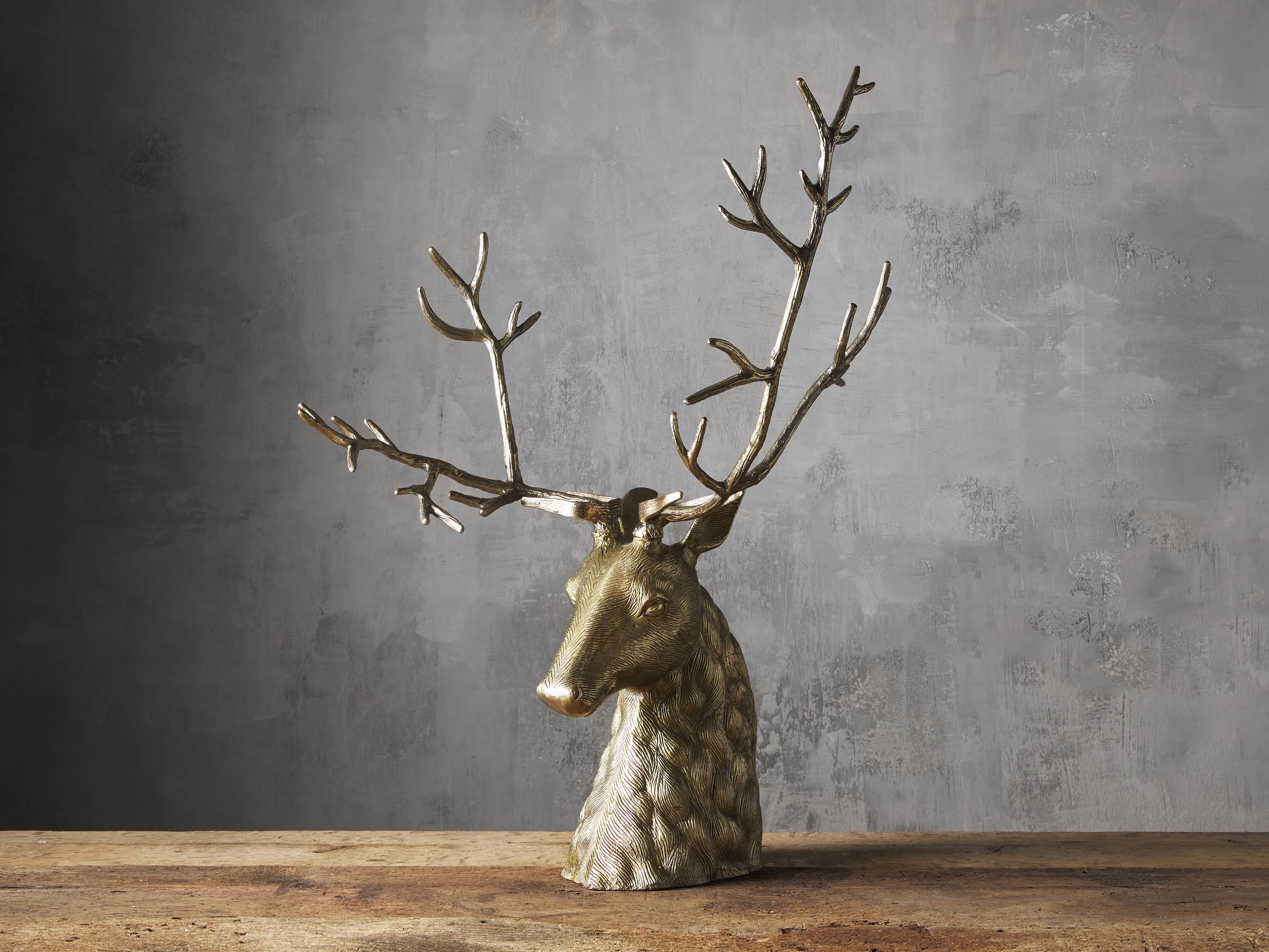 Stag Head, slide 1 of 3
