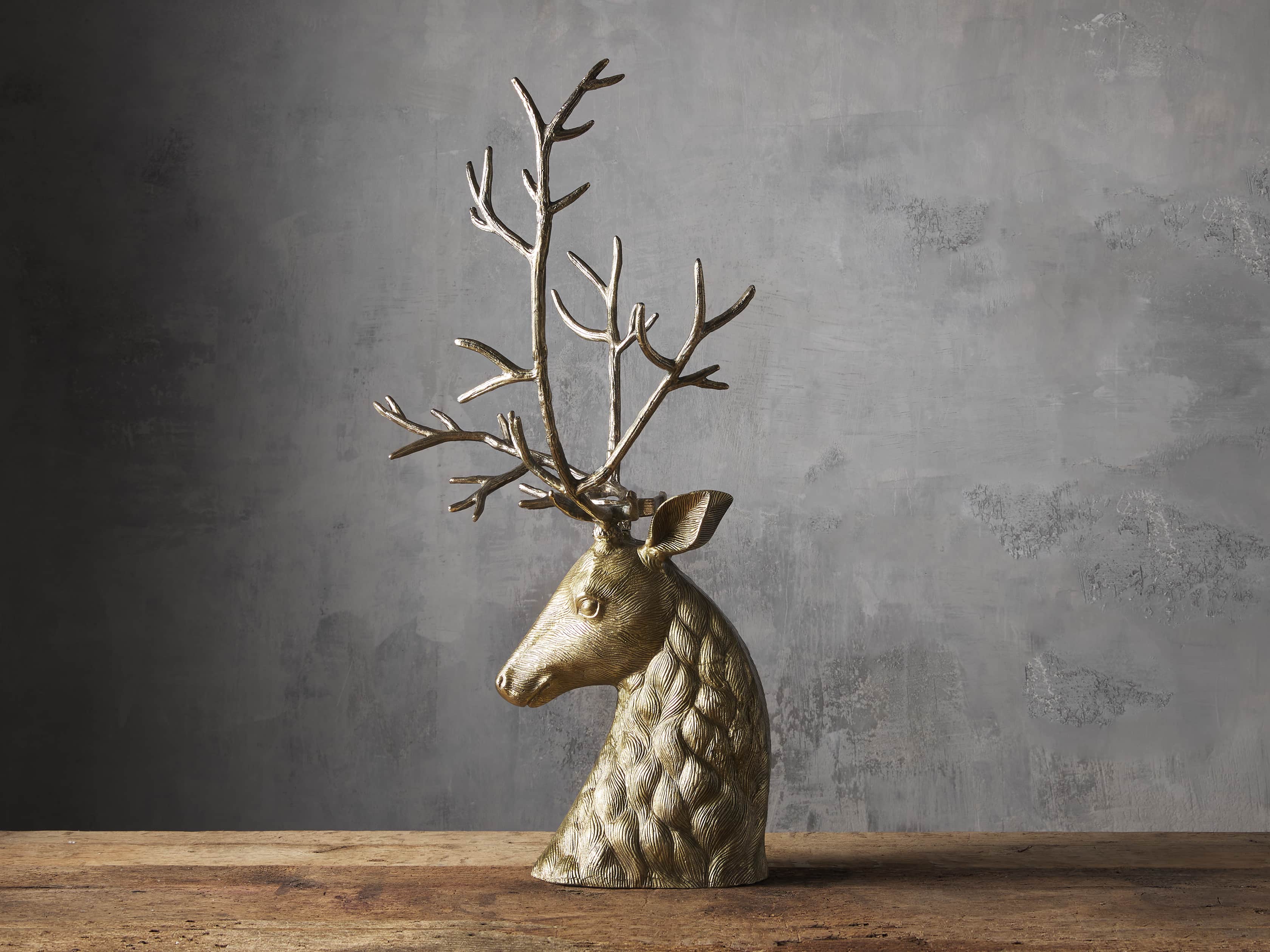 Stag Head, slide 2 of 3