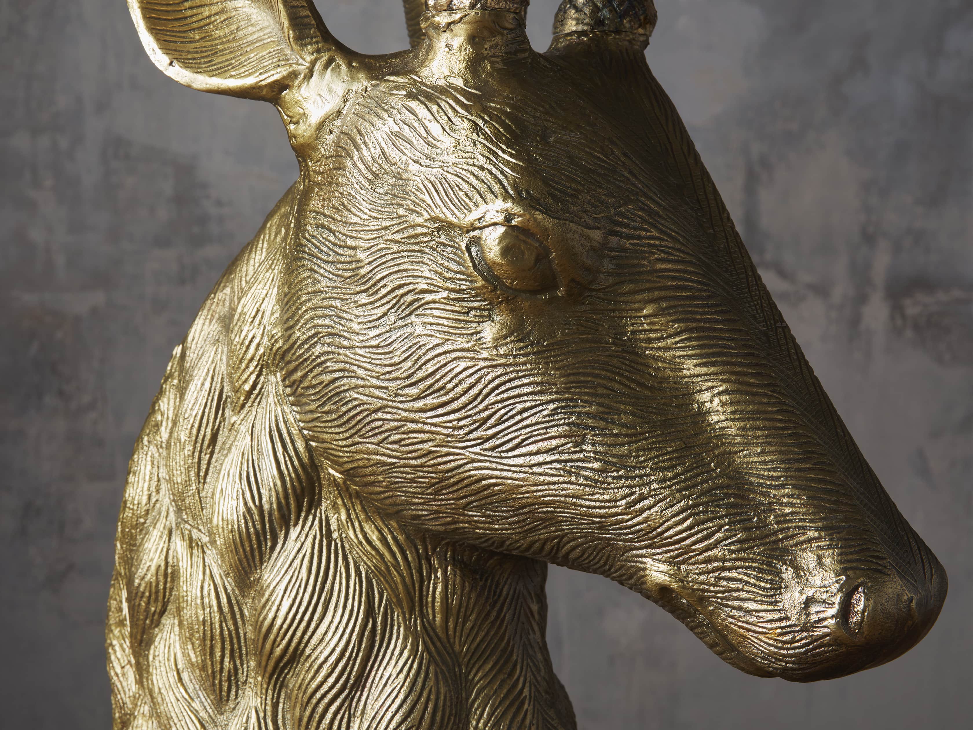 Stag Head, slide 3 of 3