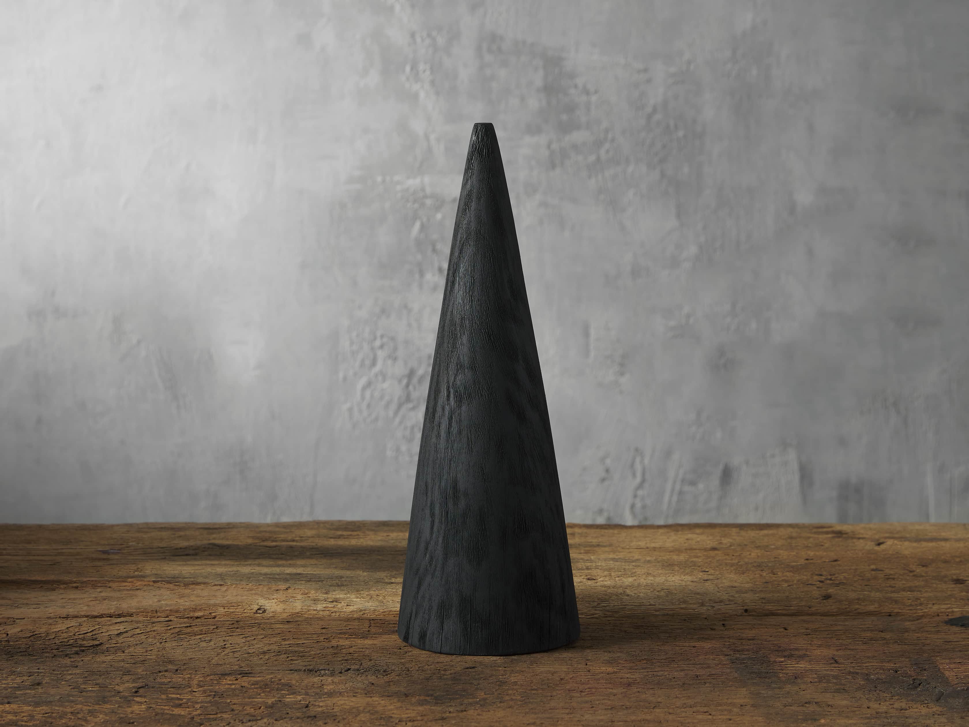 Large Carbonized Cone Tree, slide 1 of 4