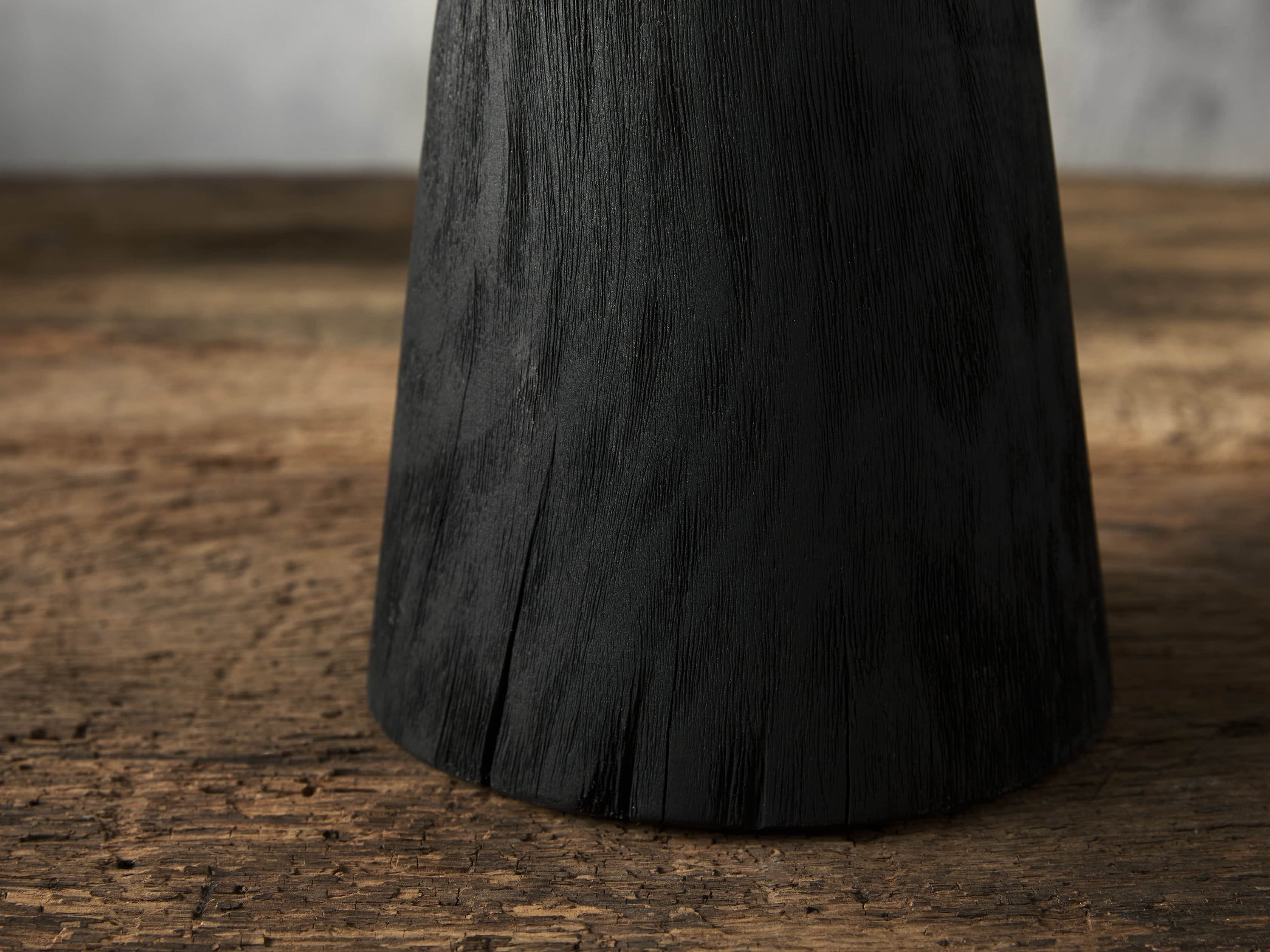 Large Carbonized Cone Tree, slide 2 of 4