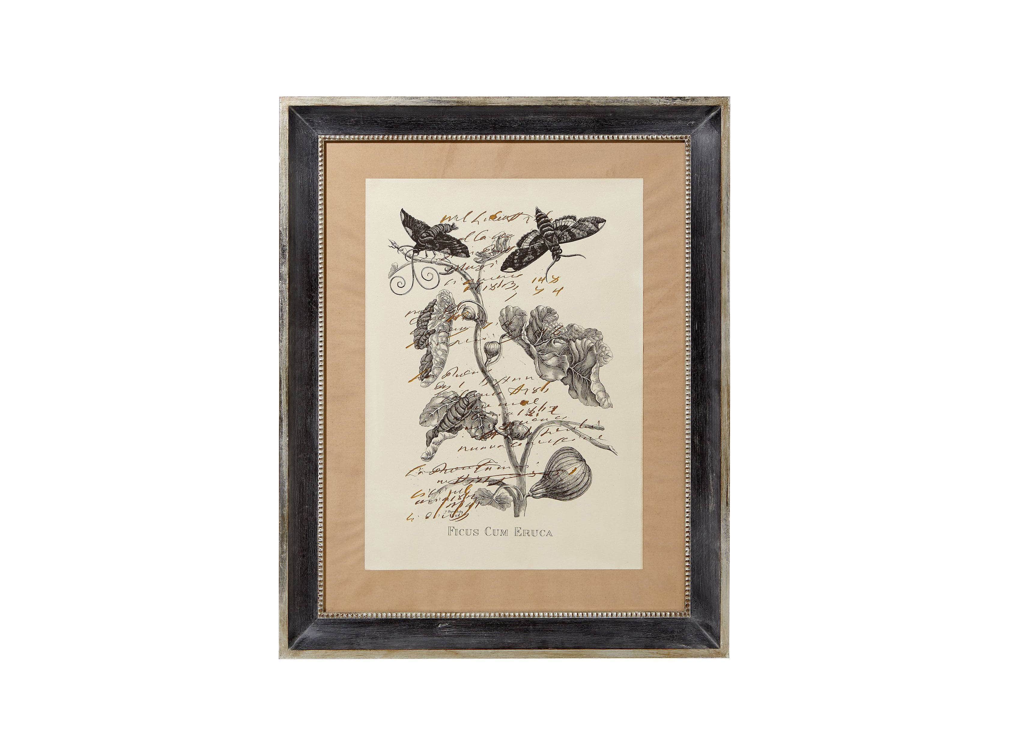 Ficus Framed Print, slide 2 of 2