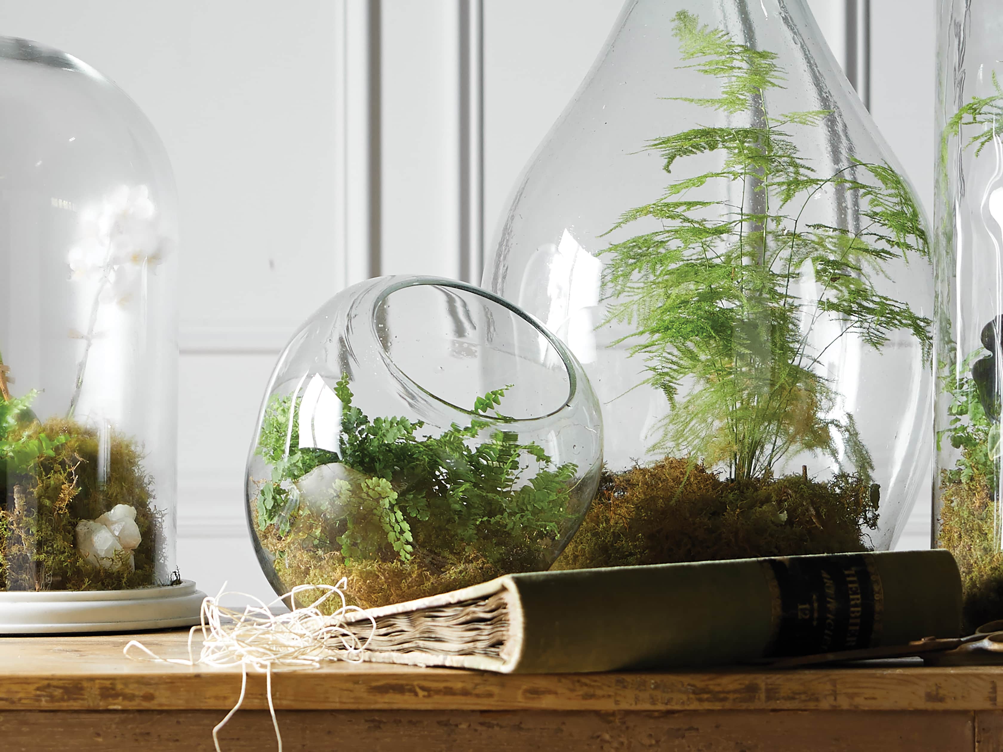 Bubble Table 30" Round Terrarium, slide 4 of 6
