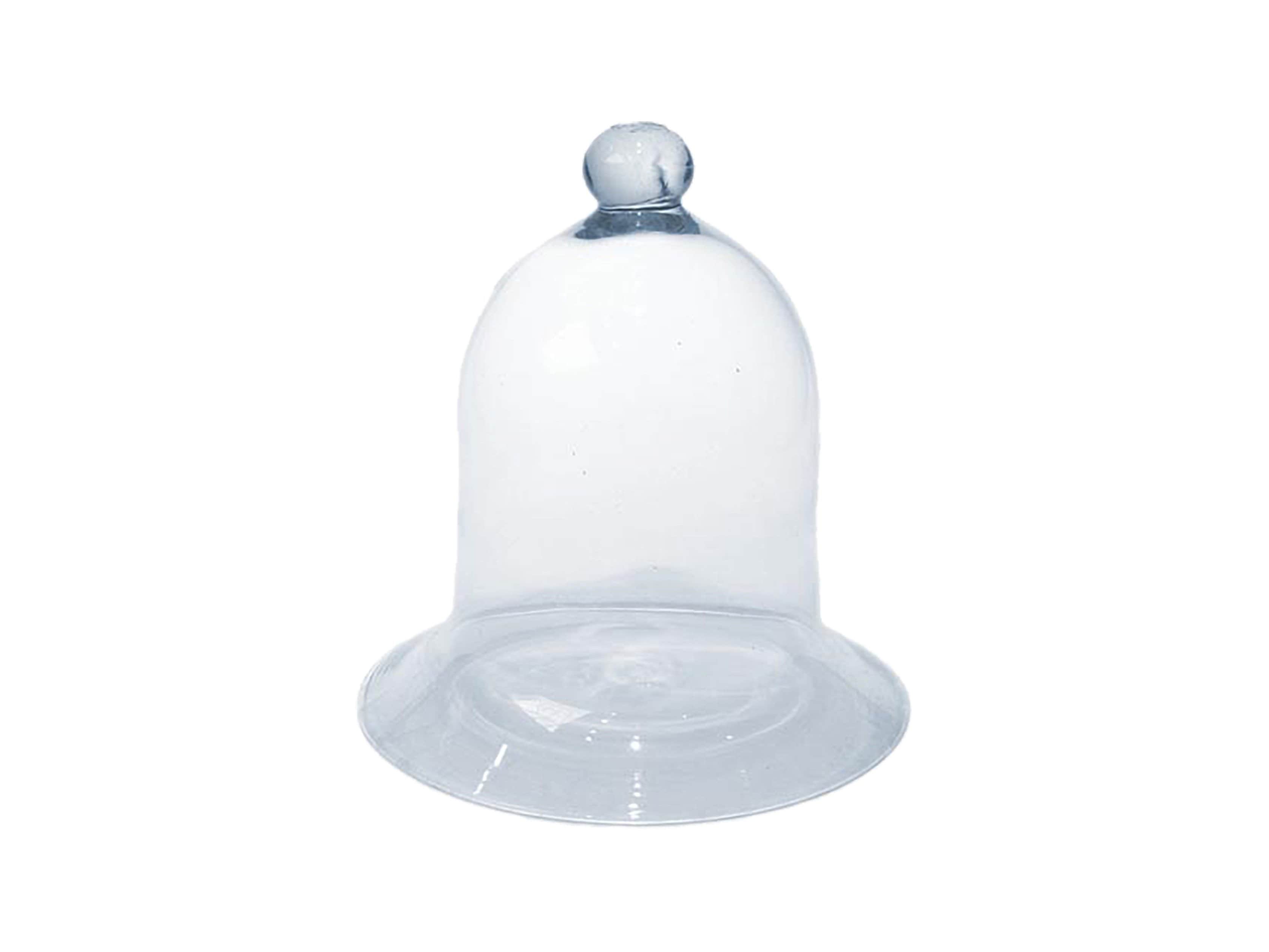 8" Glass Bell Jar