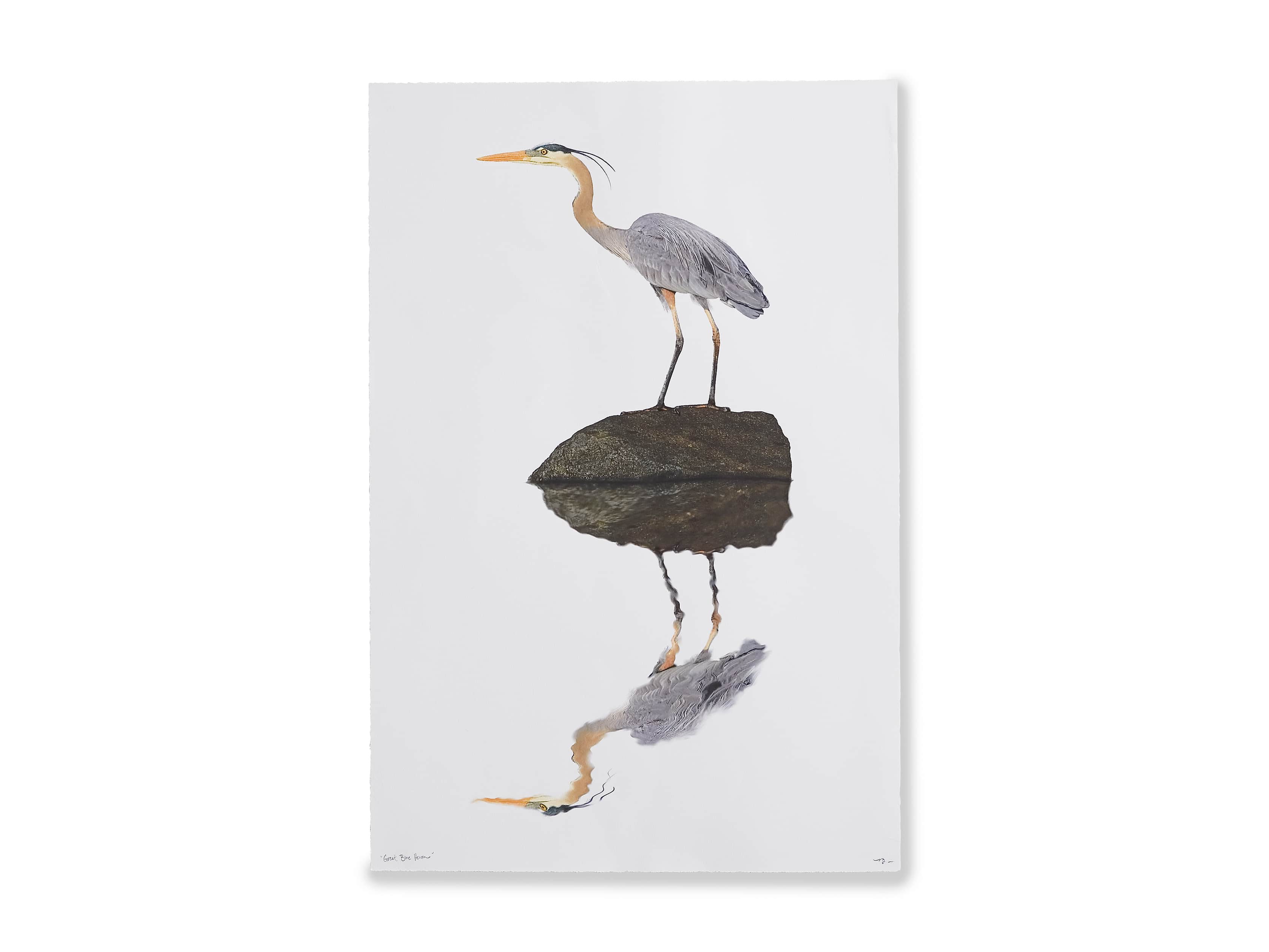 Blue Heron Print, slide 4 of 4