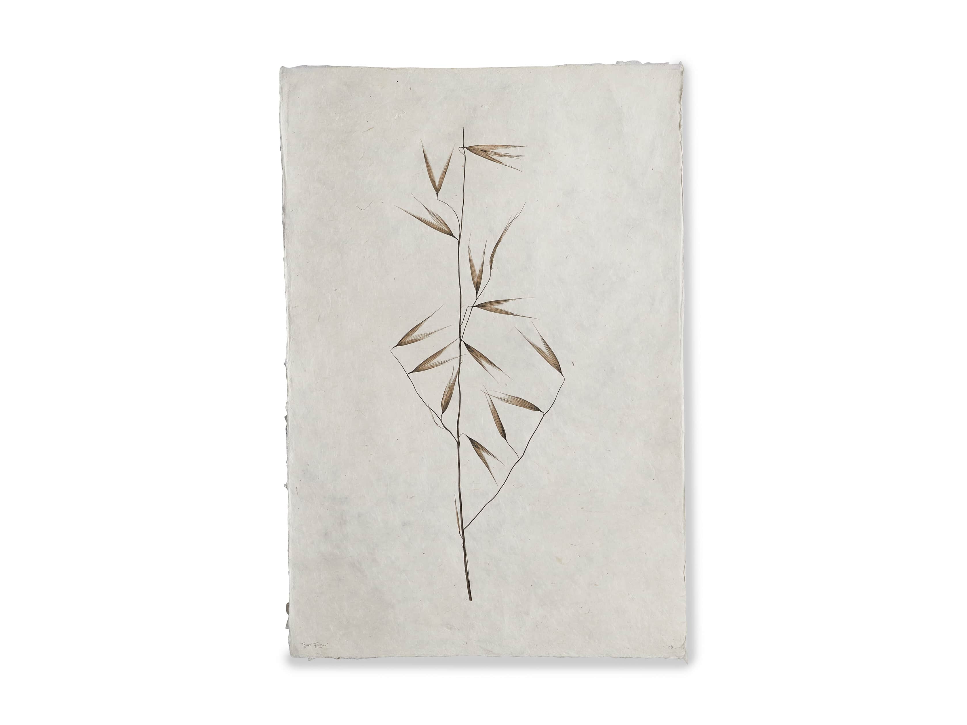 Burr Study Print I, slide 4 of 4