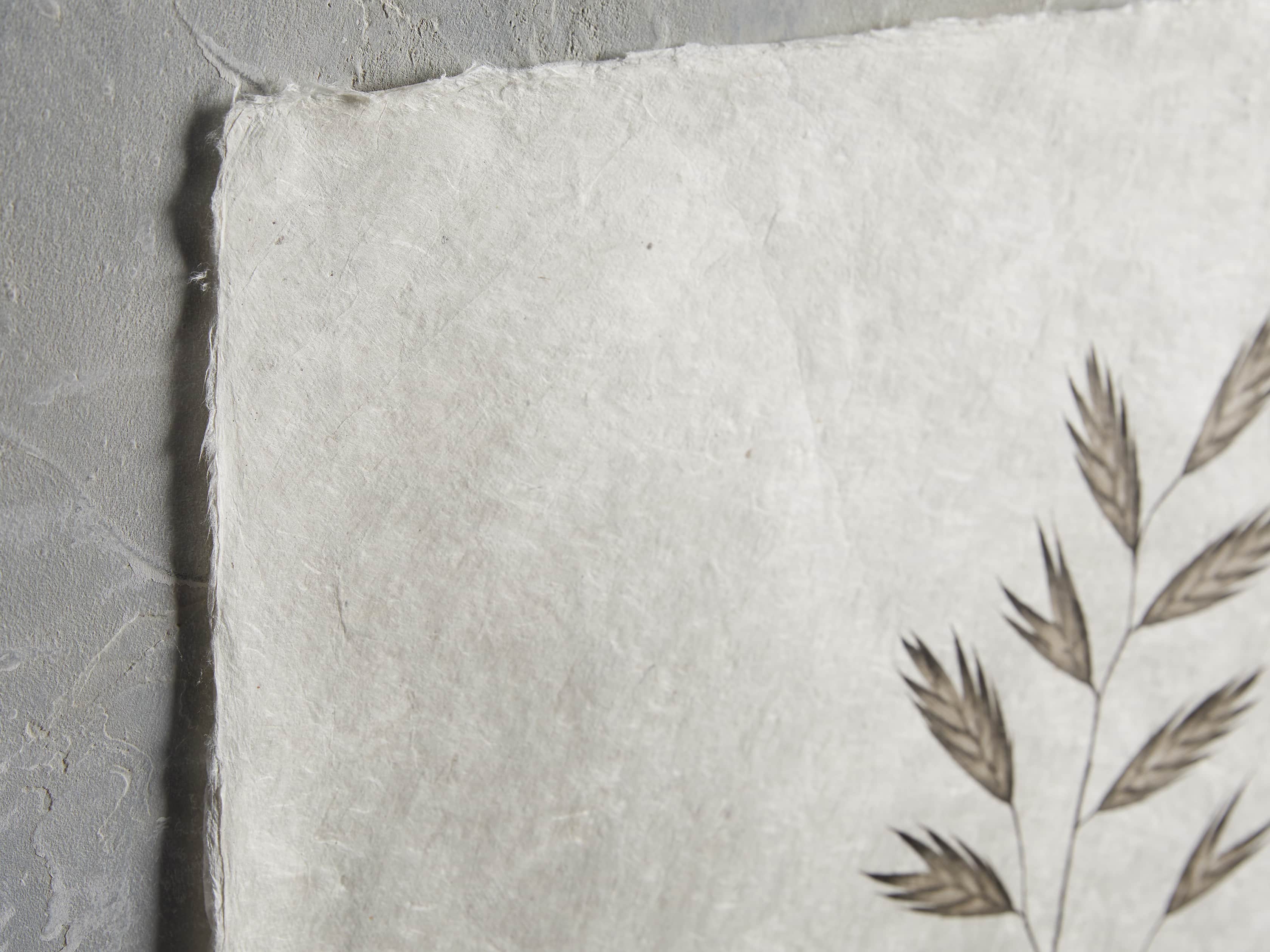 Burr Study Print II, slide 2 of 5