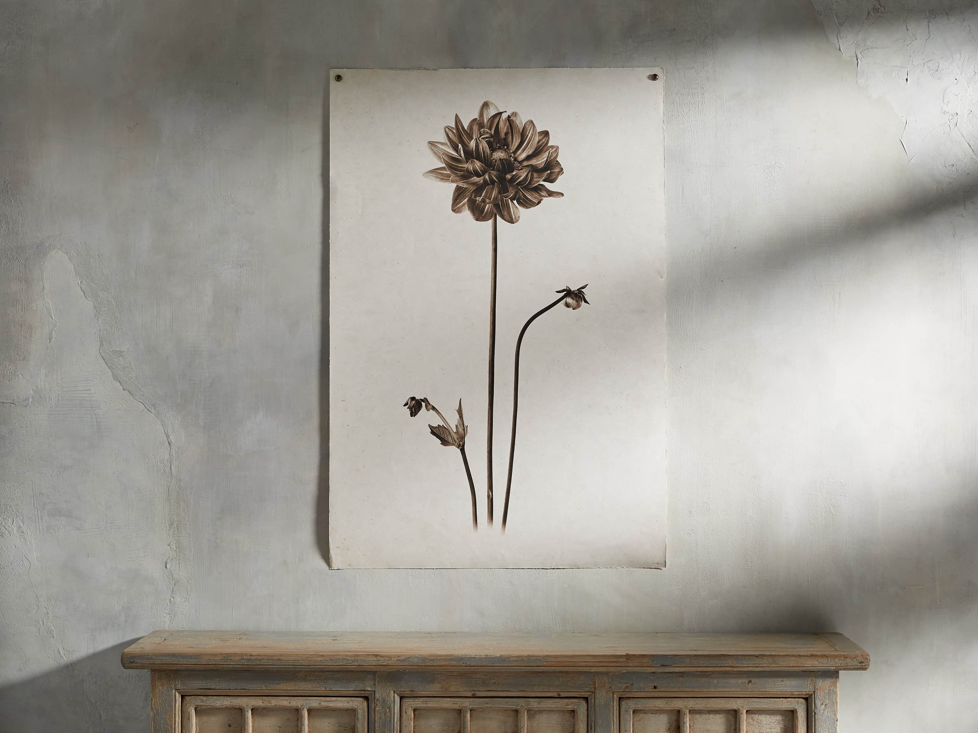 Single Dahlia Grand Format Print, slide 1 of 7