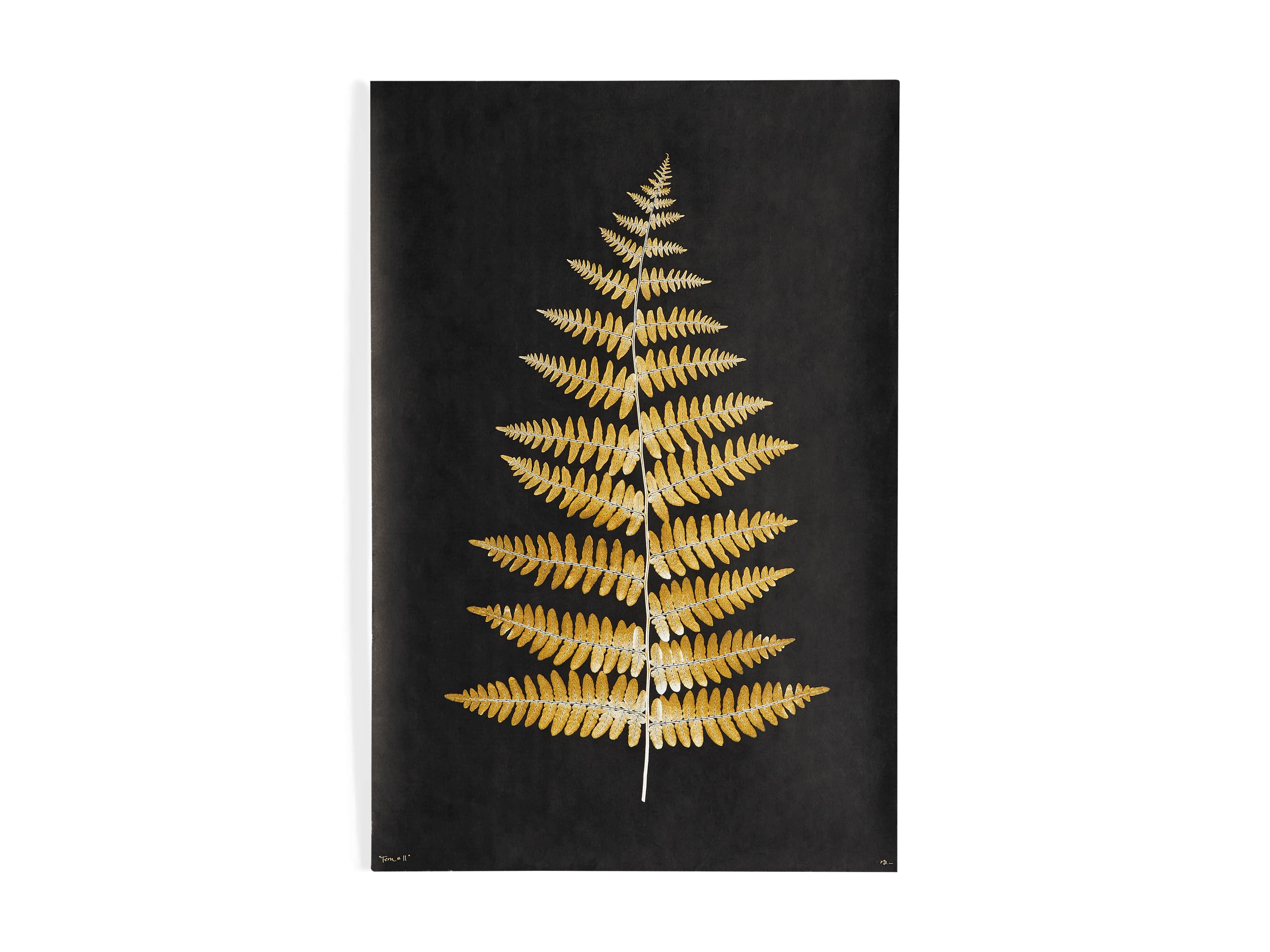 Goldern Fern Framed Print II, slide 7 of 7