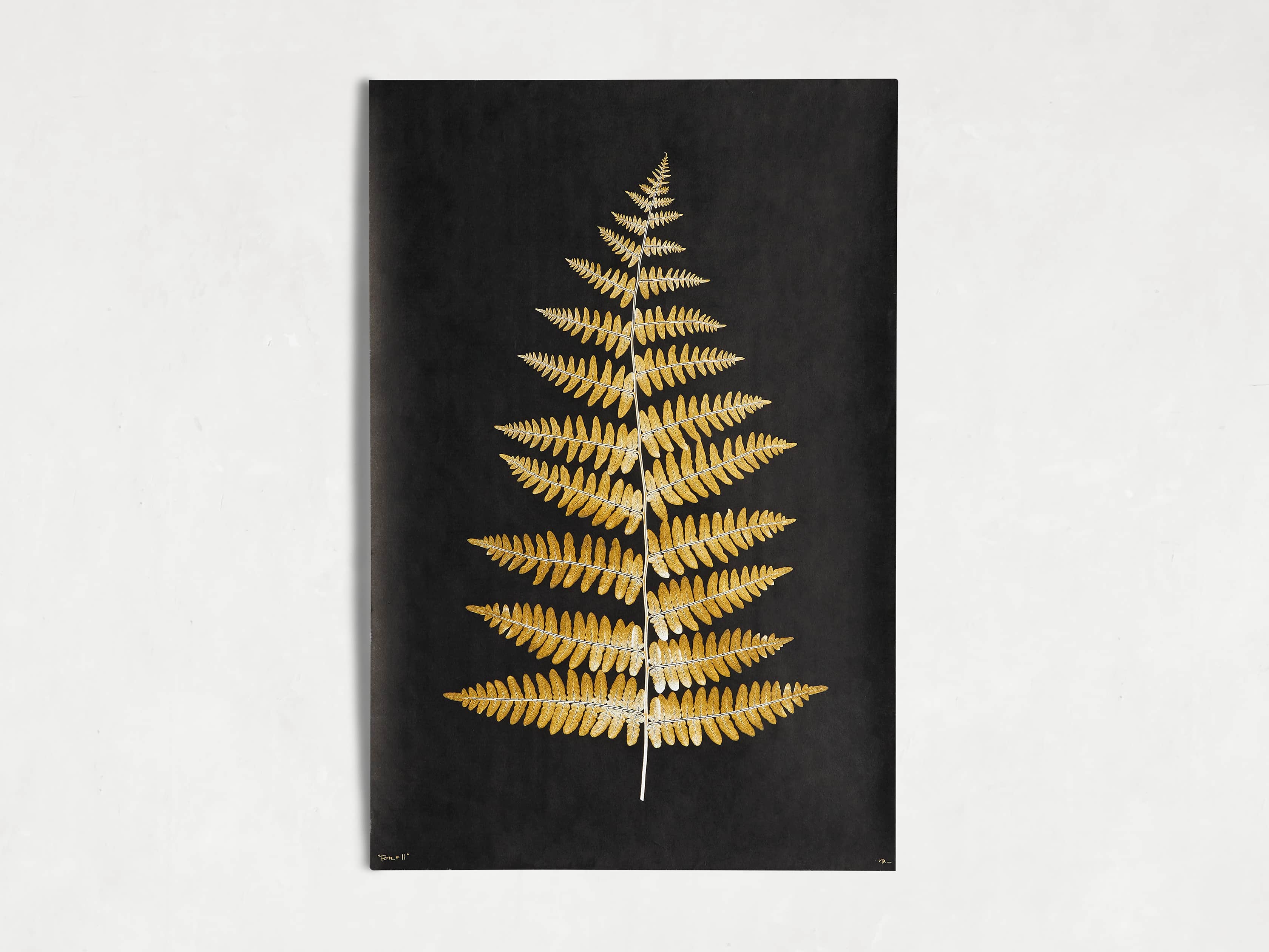 Goldern Fern Framed Print II, slide 3 of 7