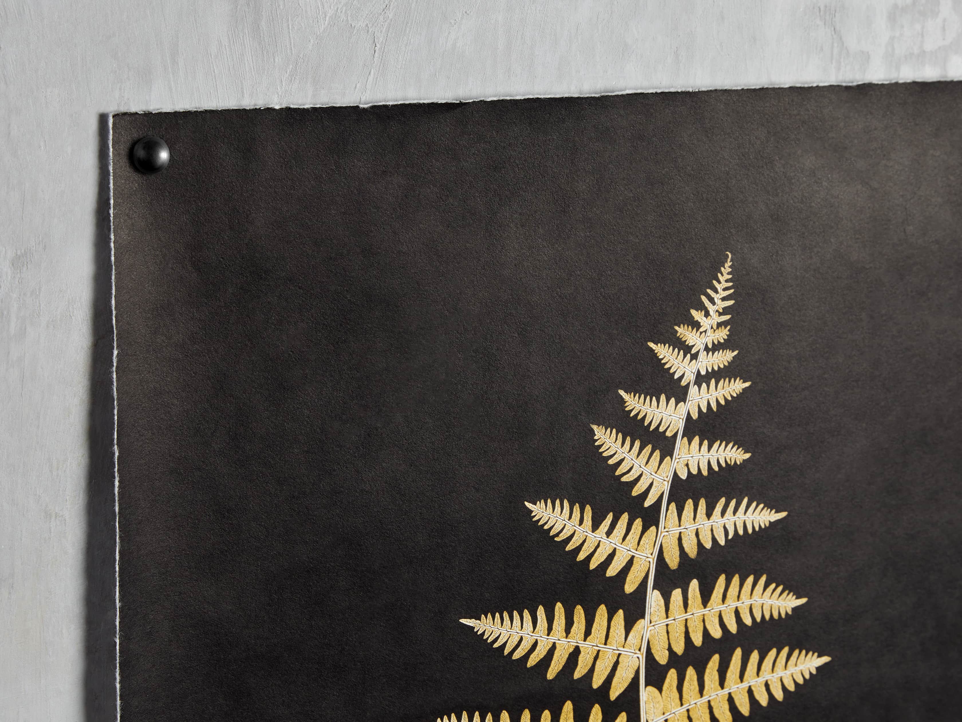 Goldern Fern Framed Print II, slide 2 of 7