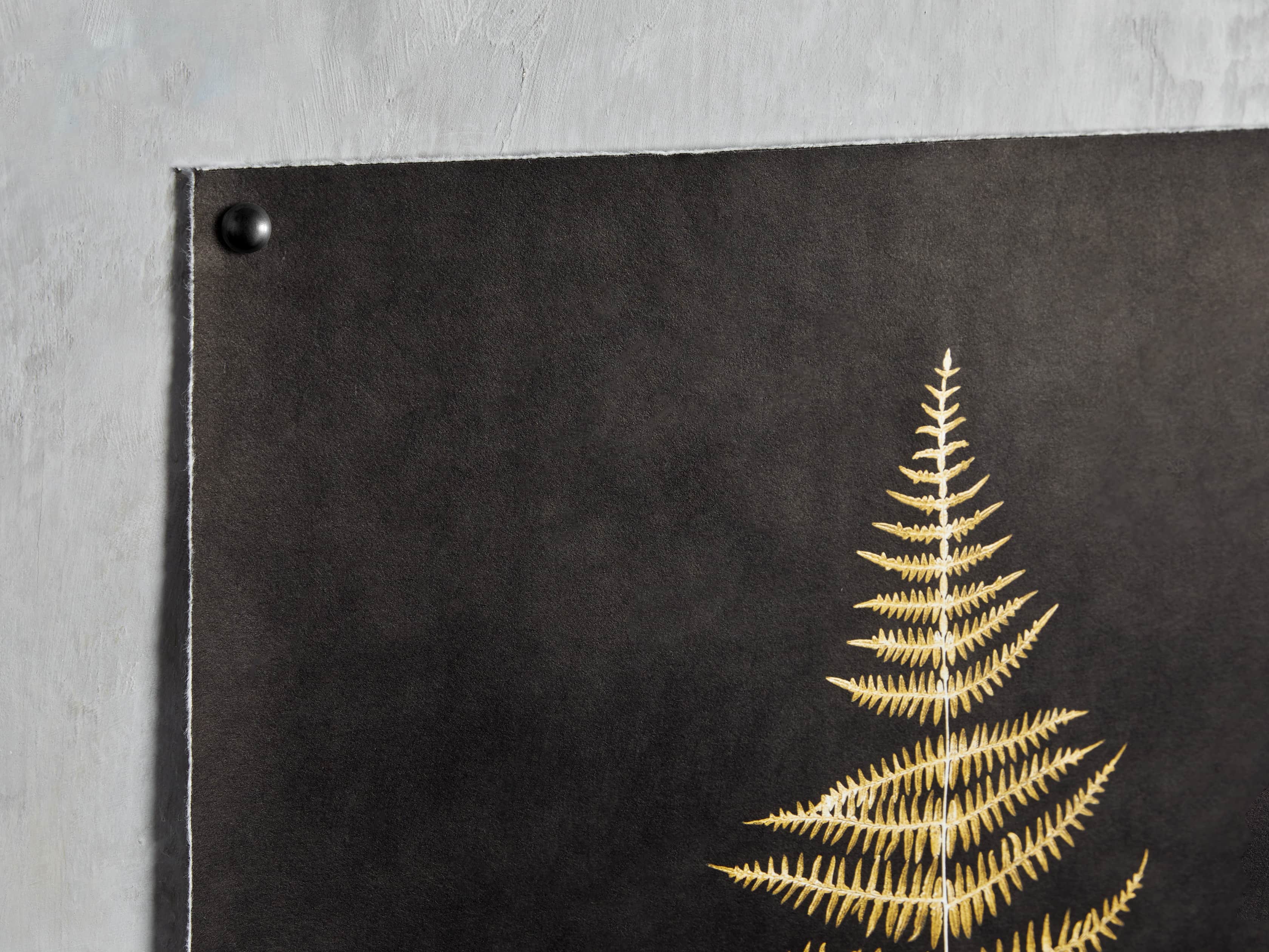 Goldern Fern Framed Print III, slide 2 of 8