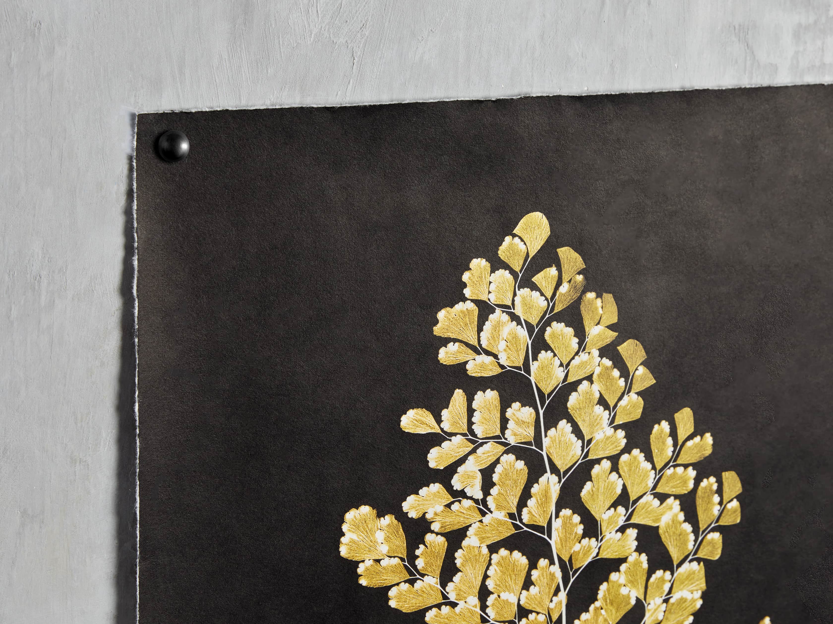 Goldern Fern Framed Print IV, slide 2 of 7