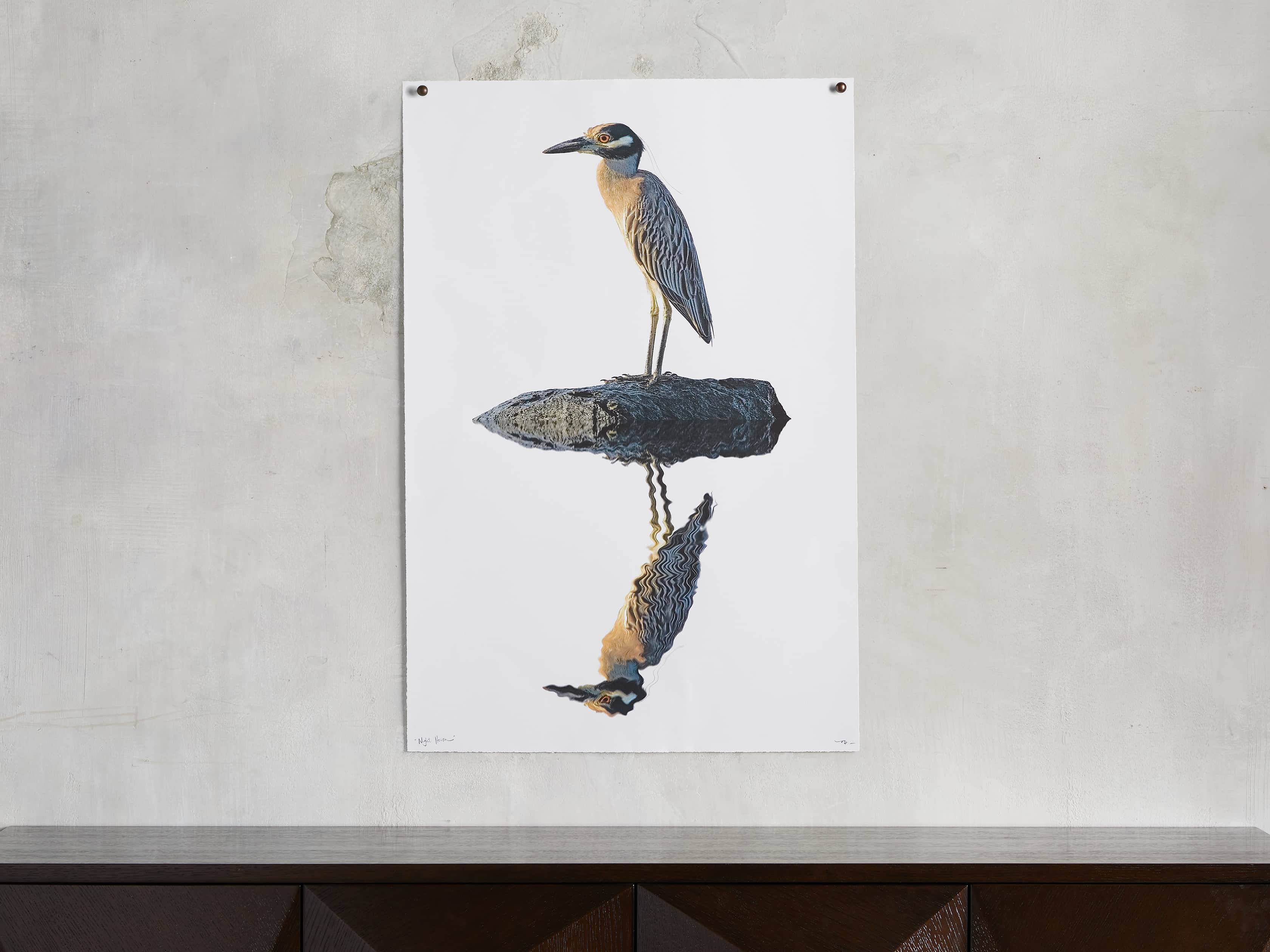 Night Heron Print, slide 1 of 4