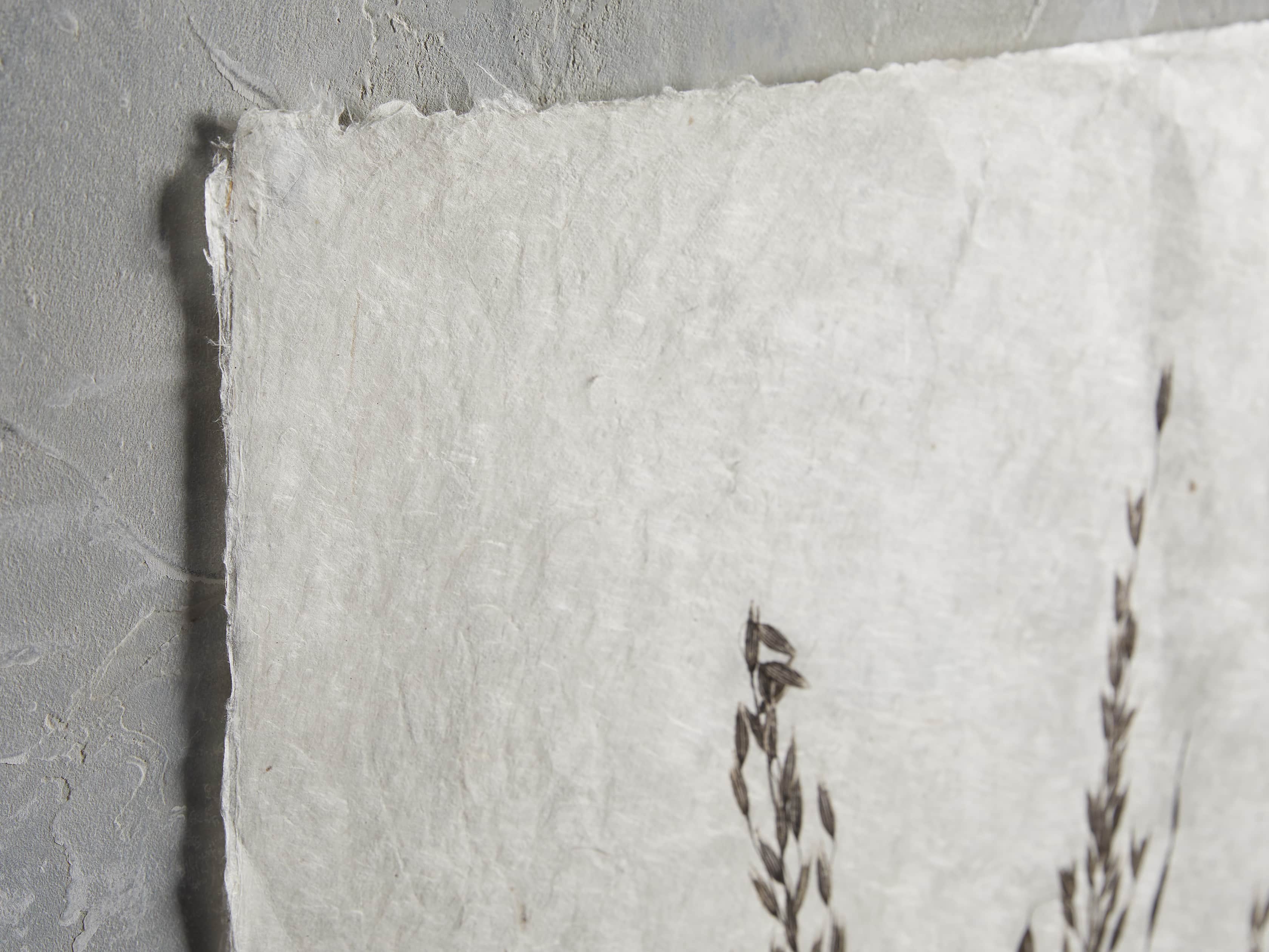 Oat Study Print, slide 2 of 4