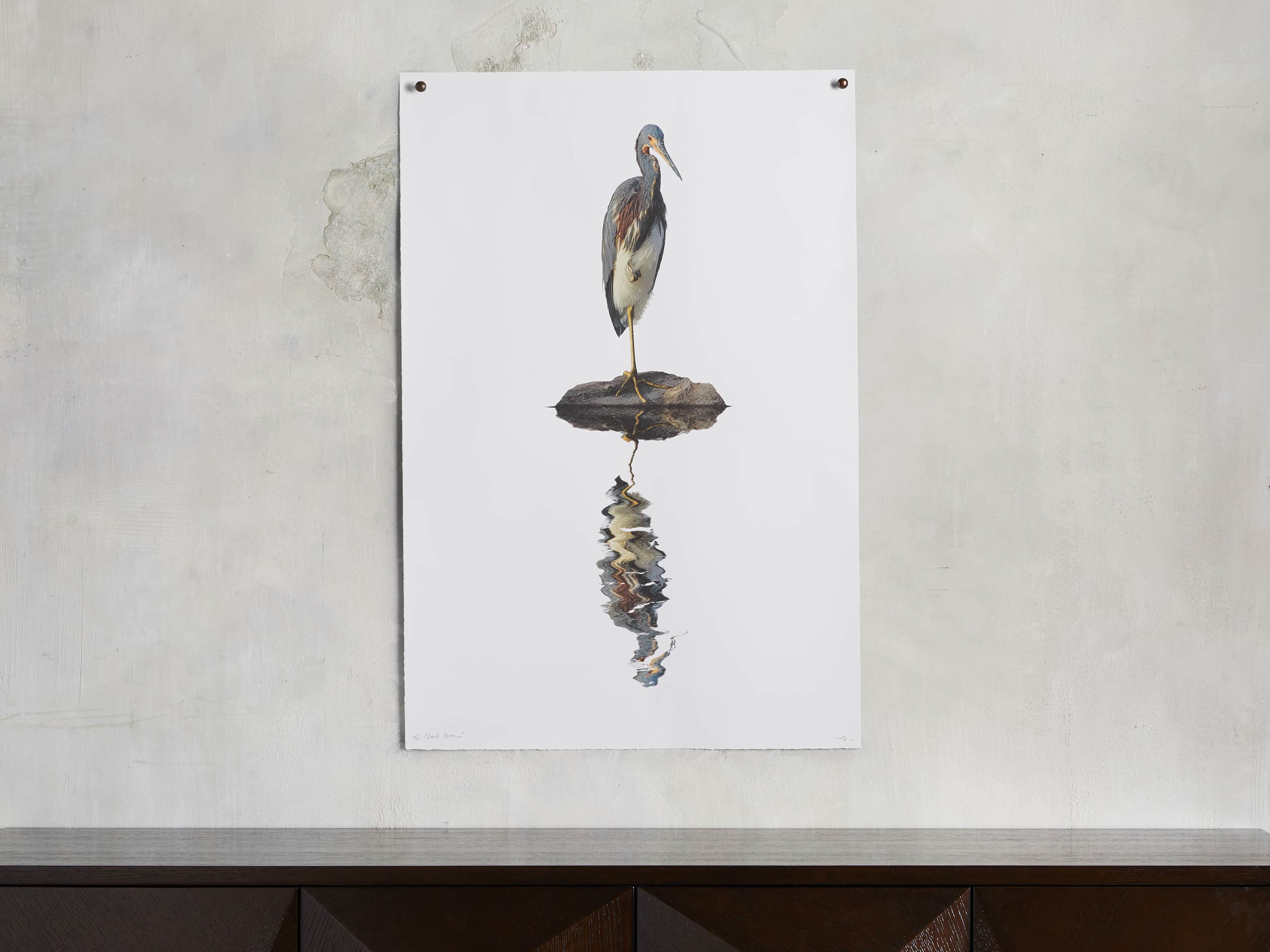 Tricolored Heron Print, slide 1 of 4