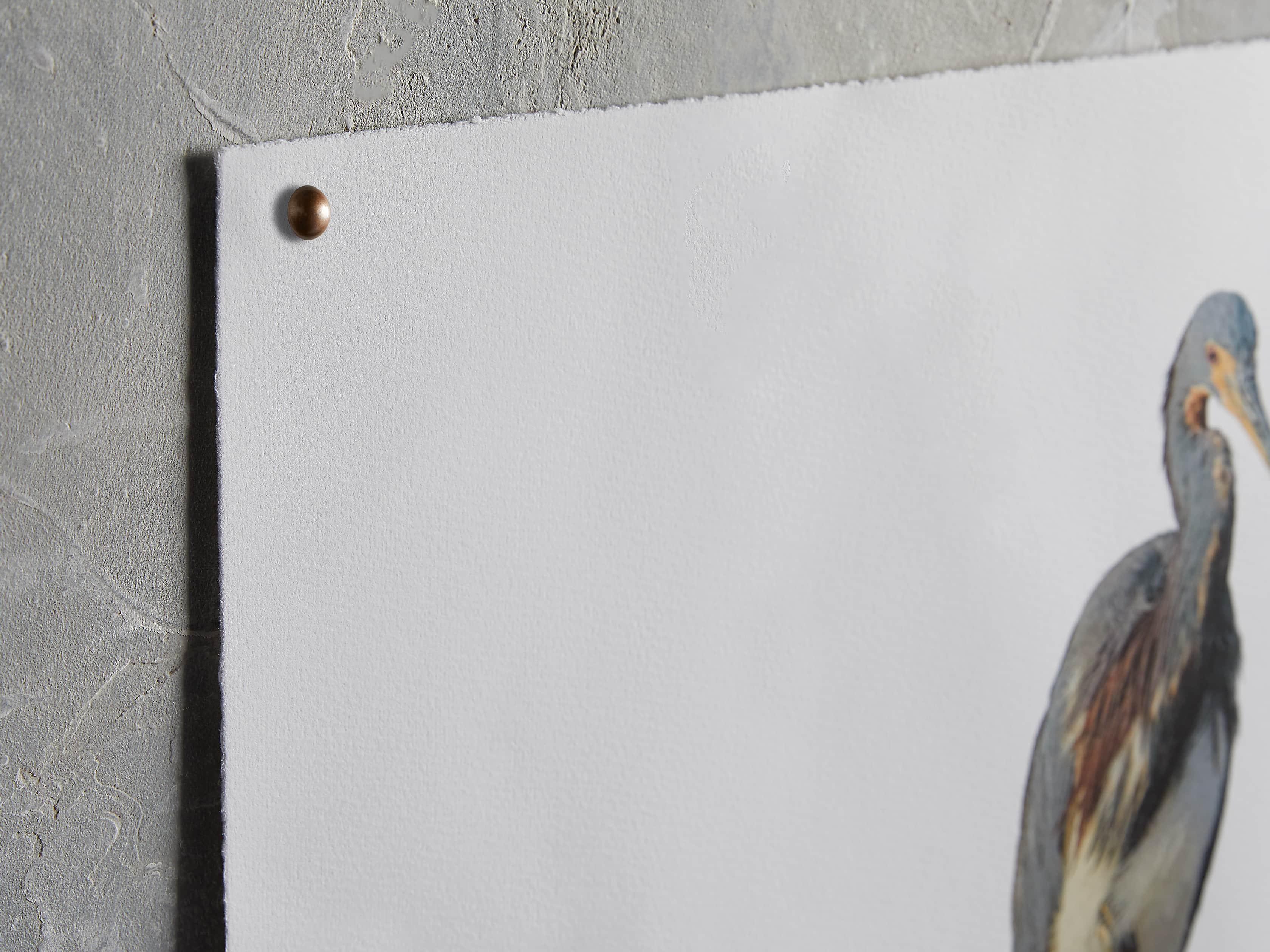 Tricolored Heron Print, slide 2 of 4
