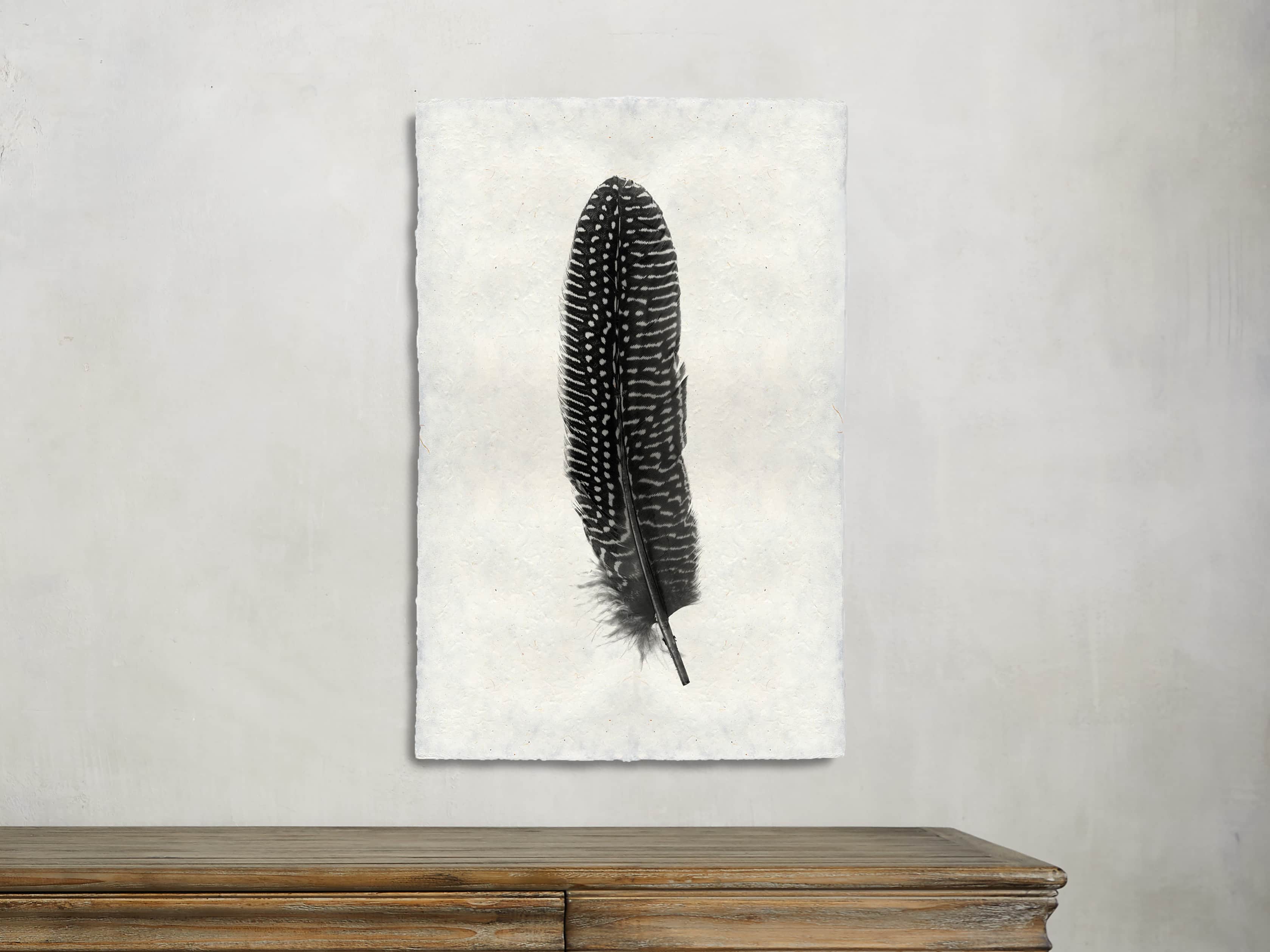 Feather Study Print 5