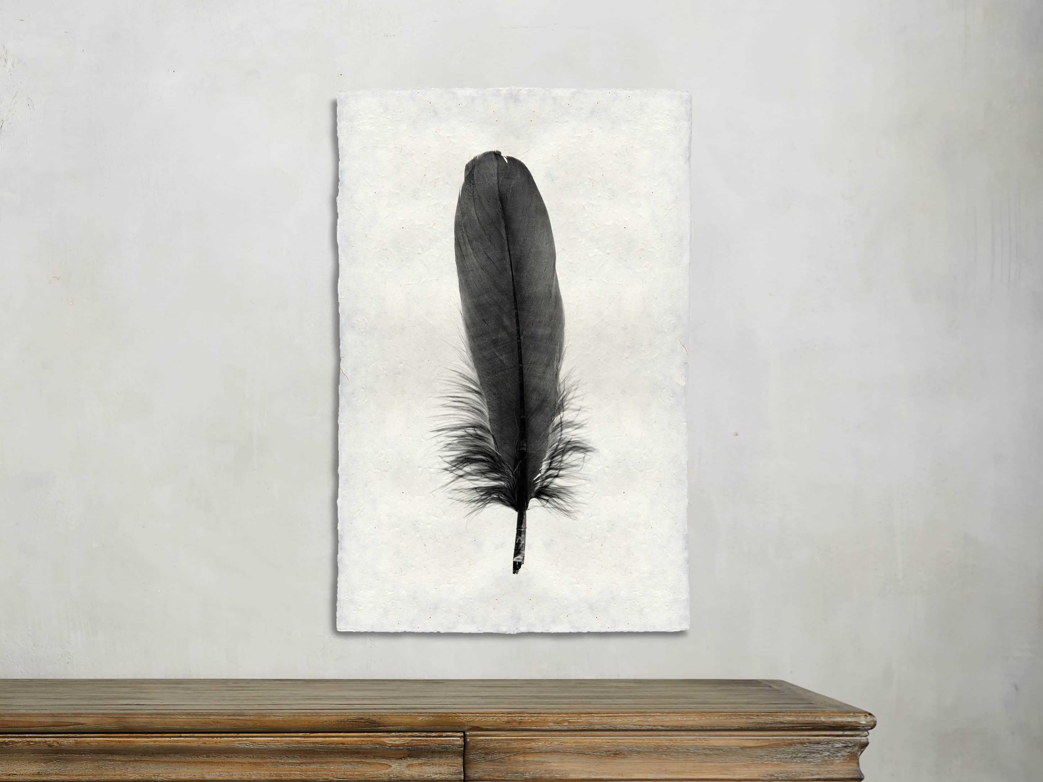 Feather Study Print VI, slide 1 of 2