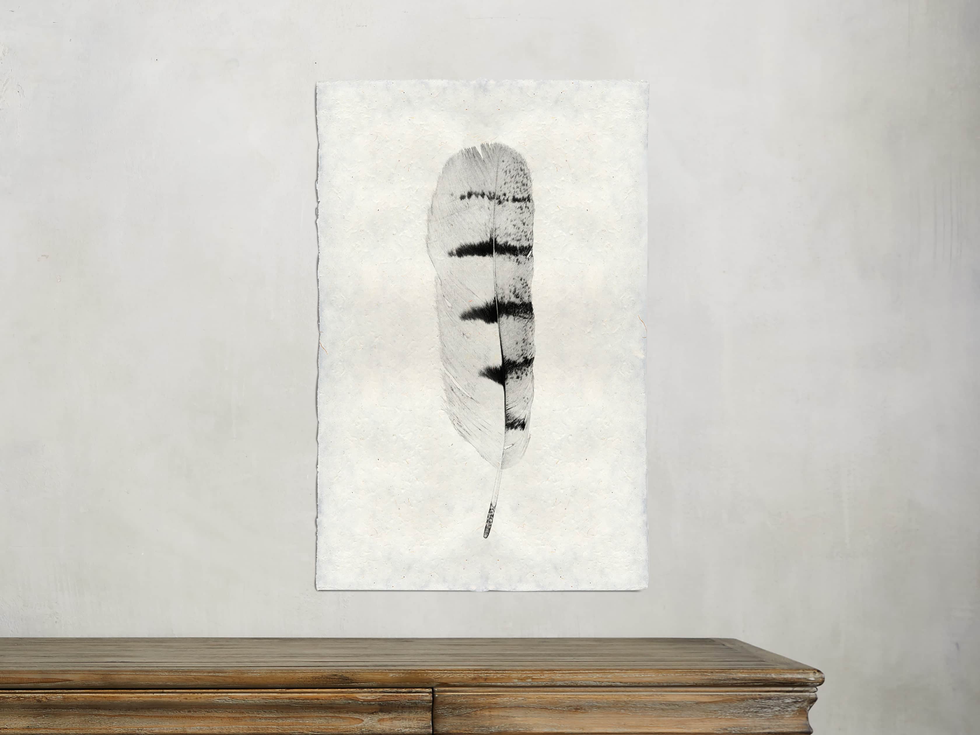 Feather Study Print 8