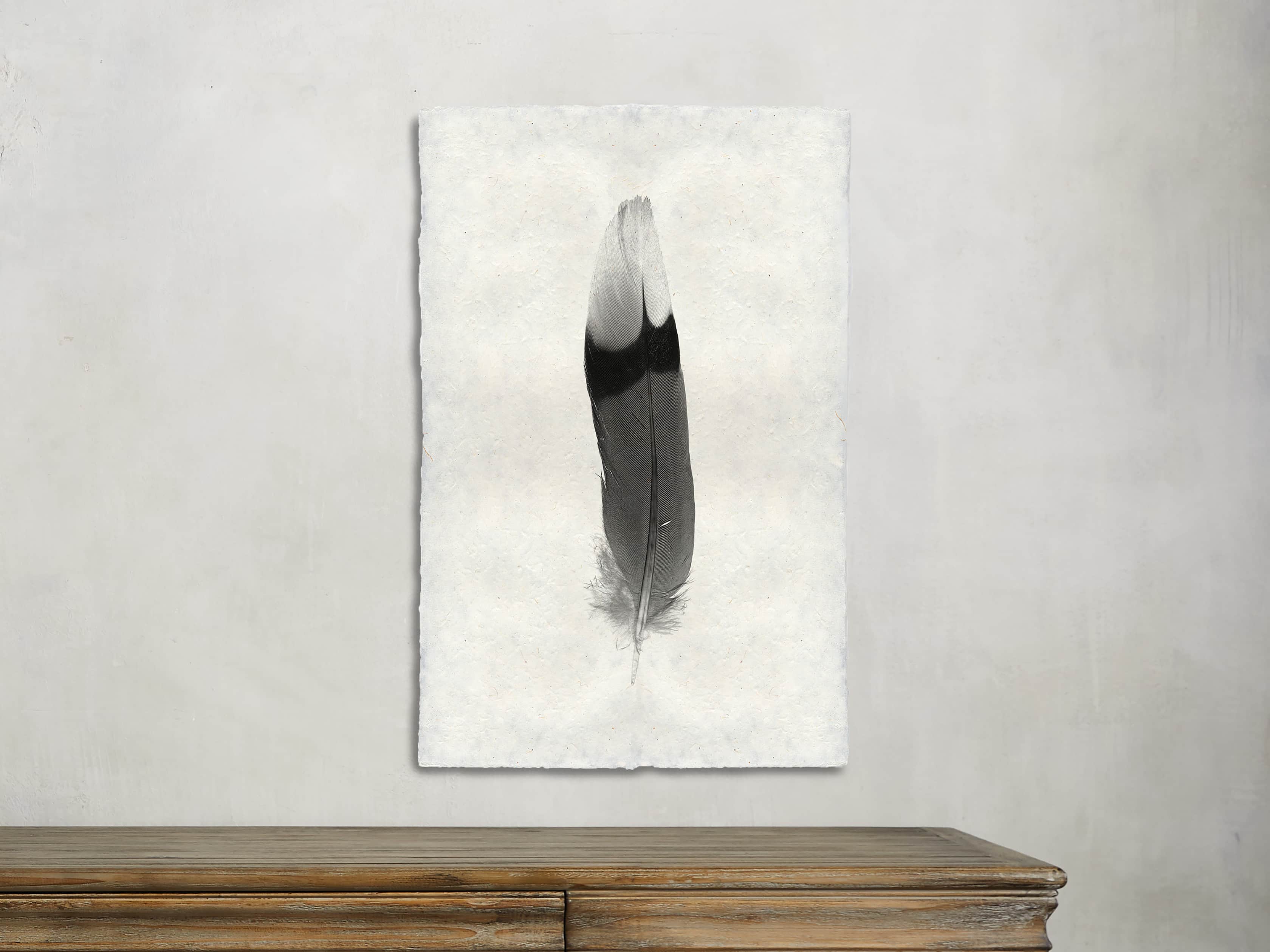 Feather Study Print IX, slide 2 of 3