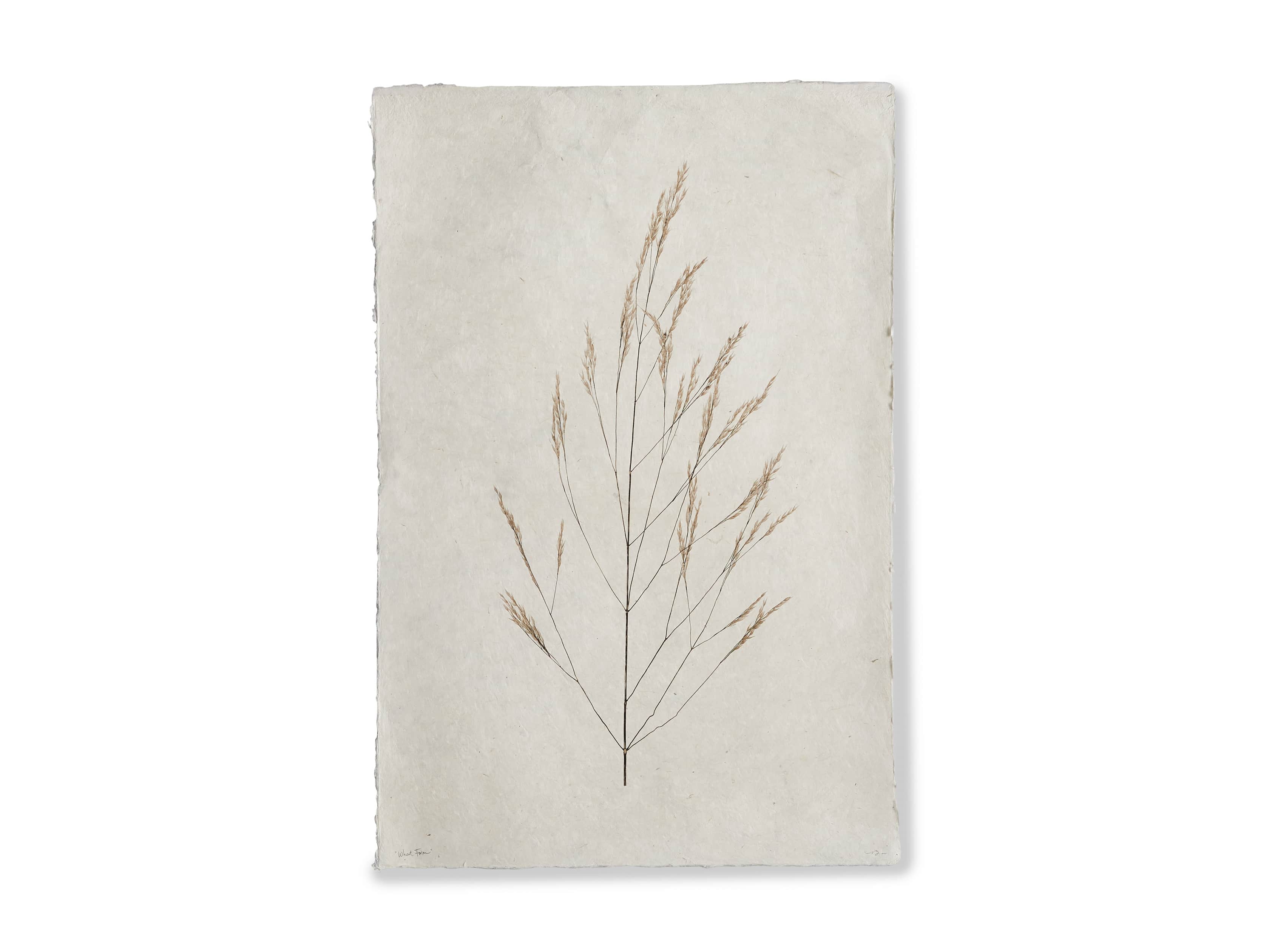 Wheat Study Print, slide 4 of 4