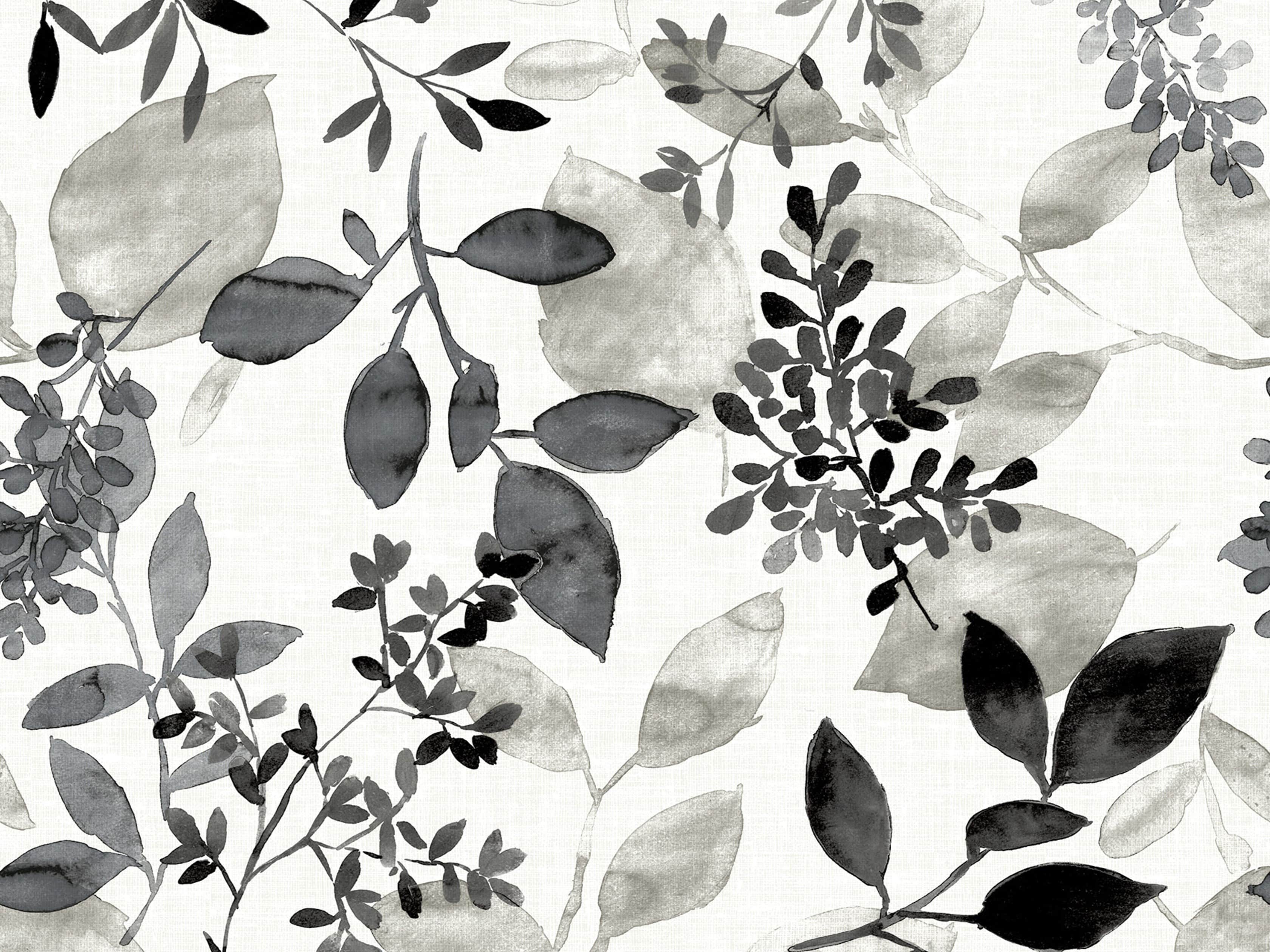 Watercolor Botanicals Wallpaper in Black, slide 3 of 4