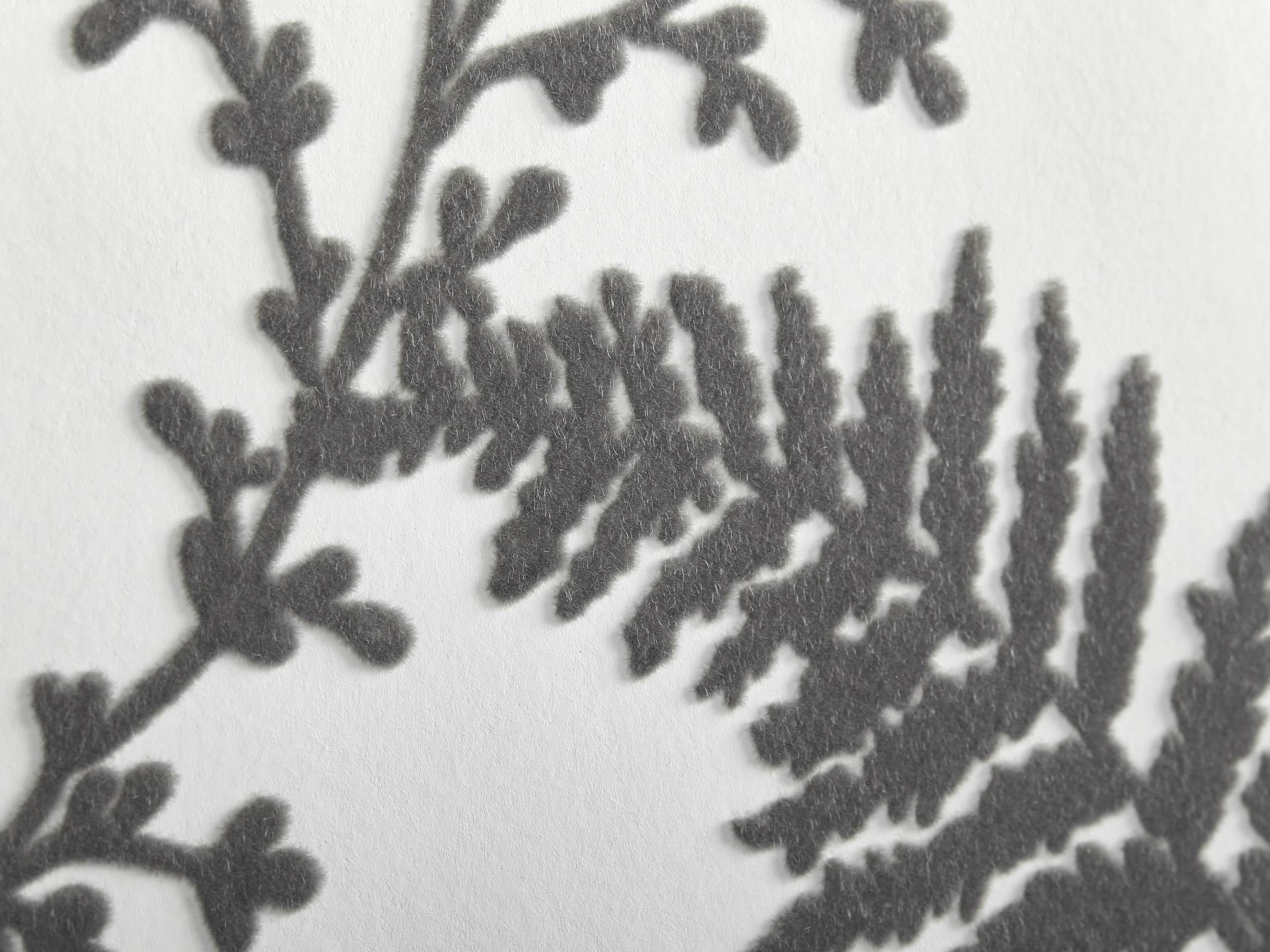 Flocked Fronds Wallpaper in Grey, slide 3 of 3