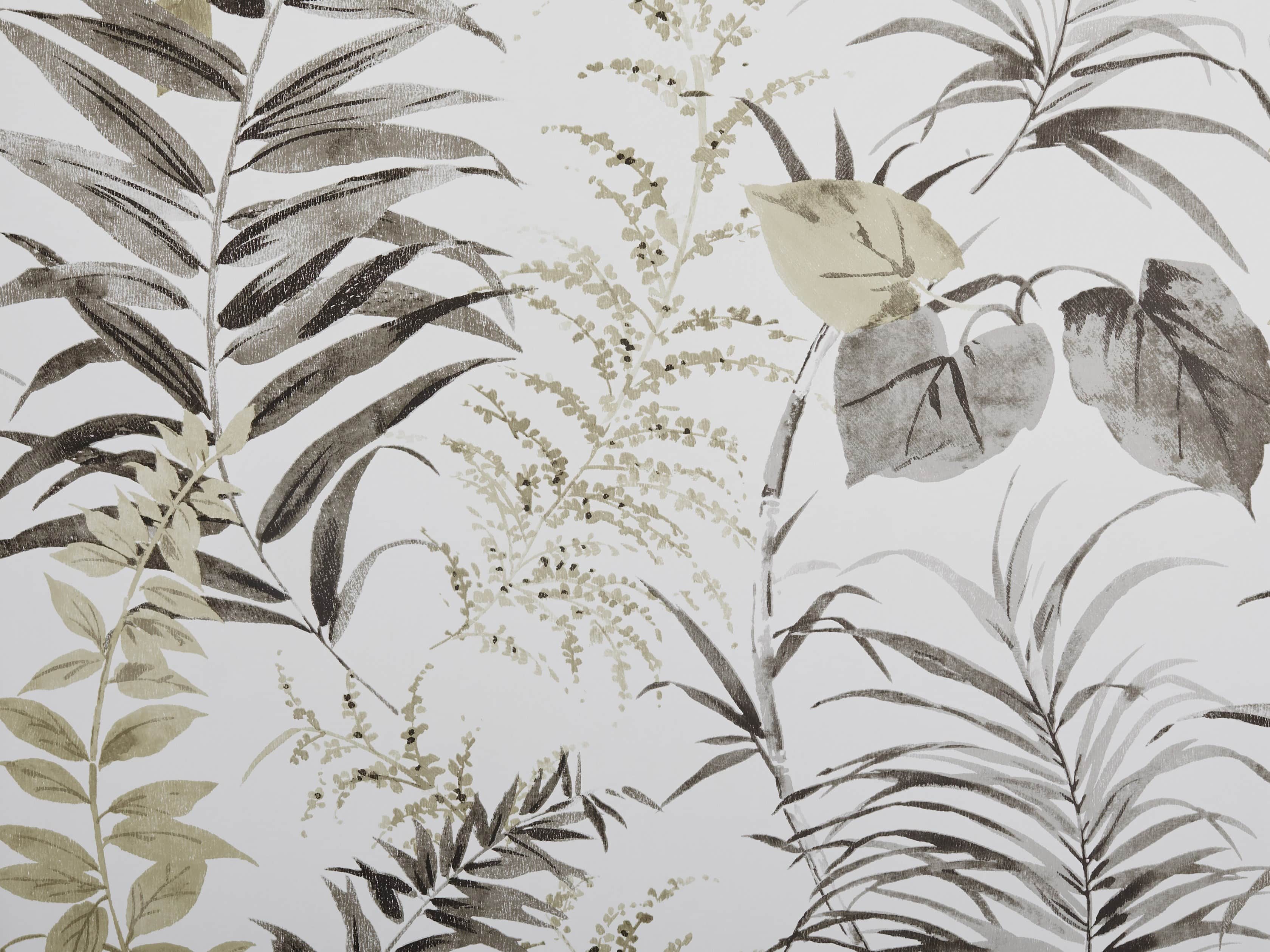 Tropical Ferns Black and Taupe Wallpaper, slide 2 of 2