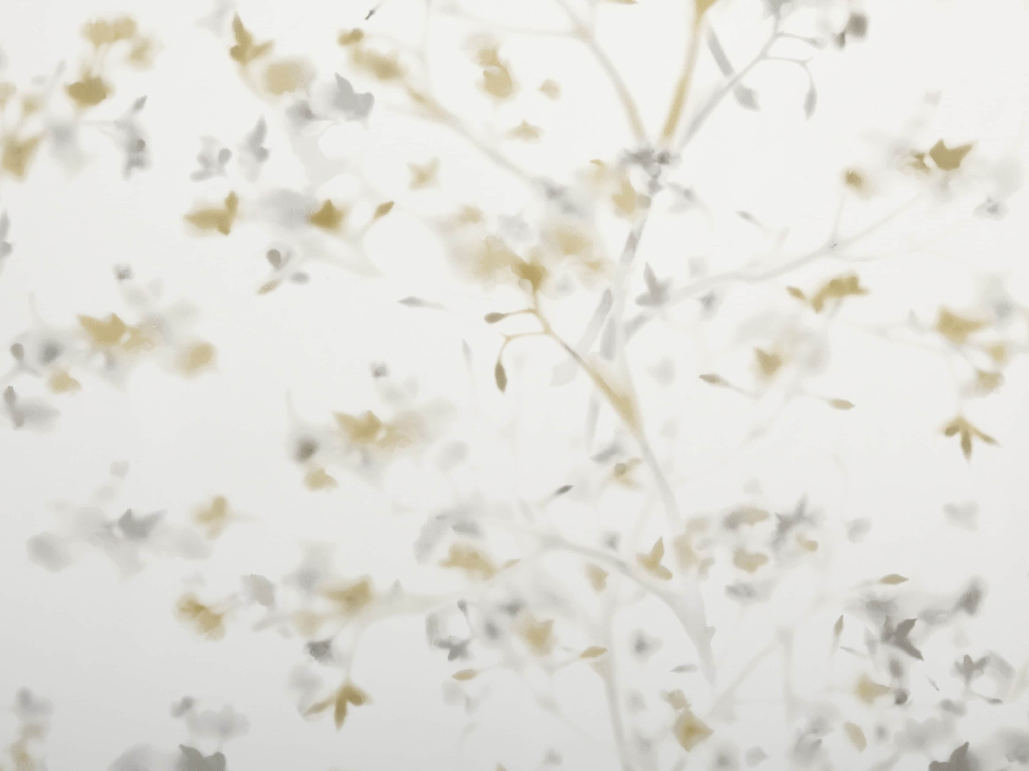 Rosette Grey Wallpaper, slide 2 of 2