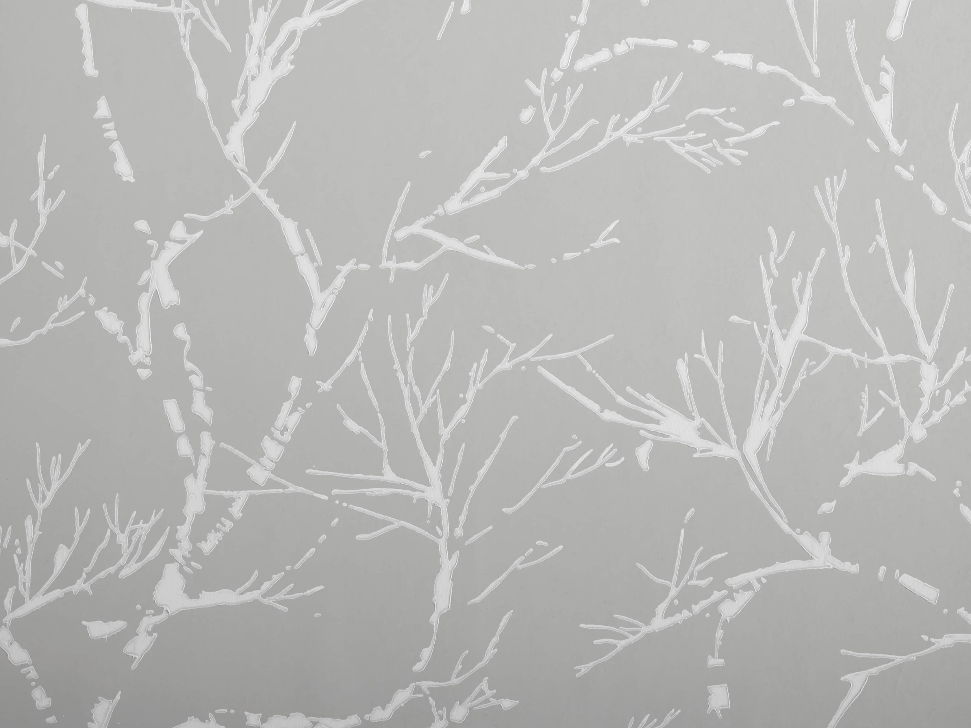 Weeping Vines Wallpaper in Light Grey