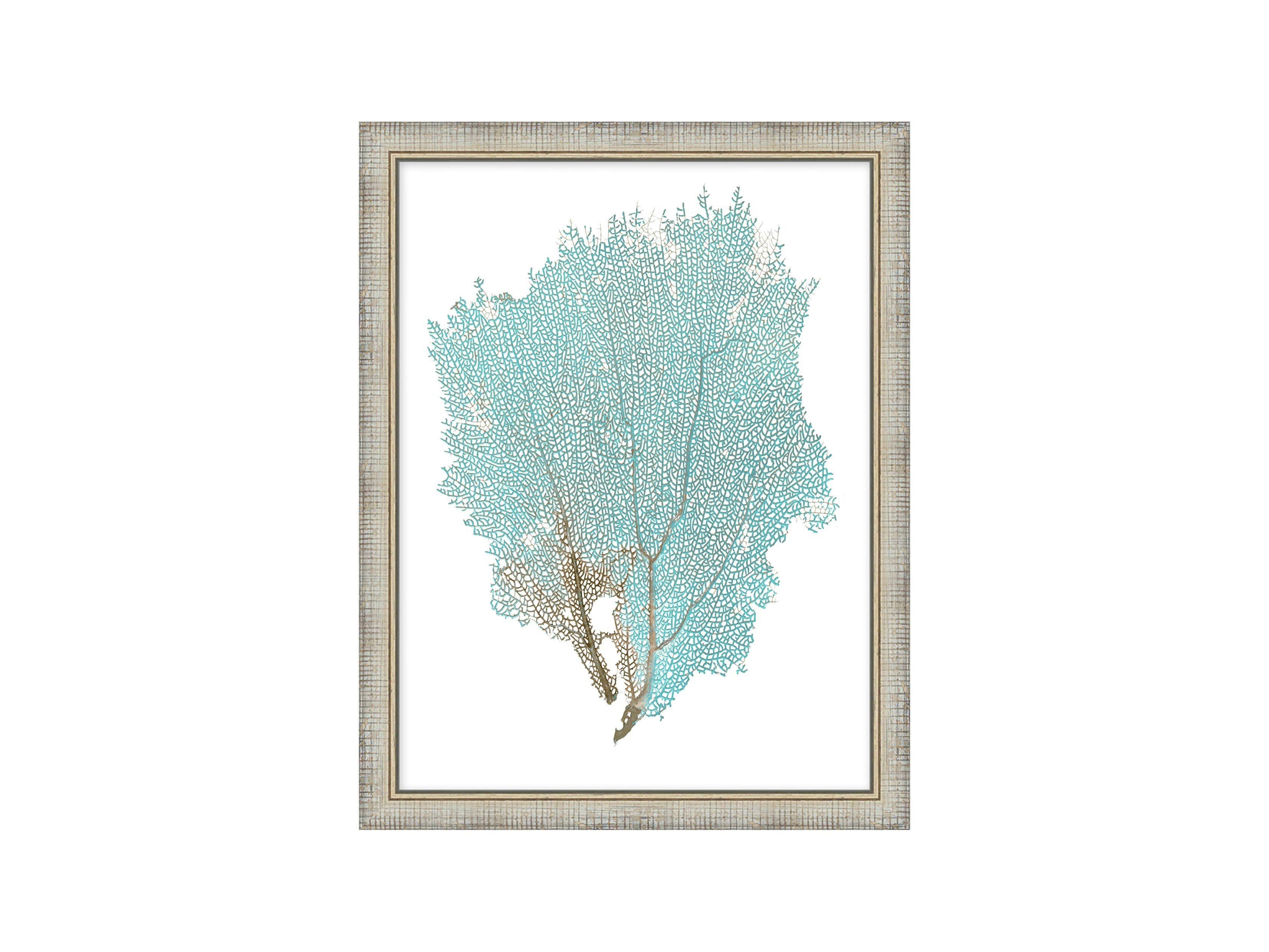 Blue Coral Framed Print #1
